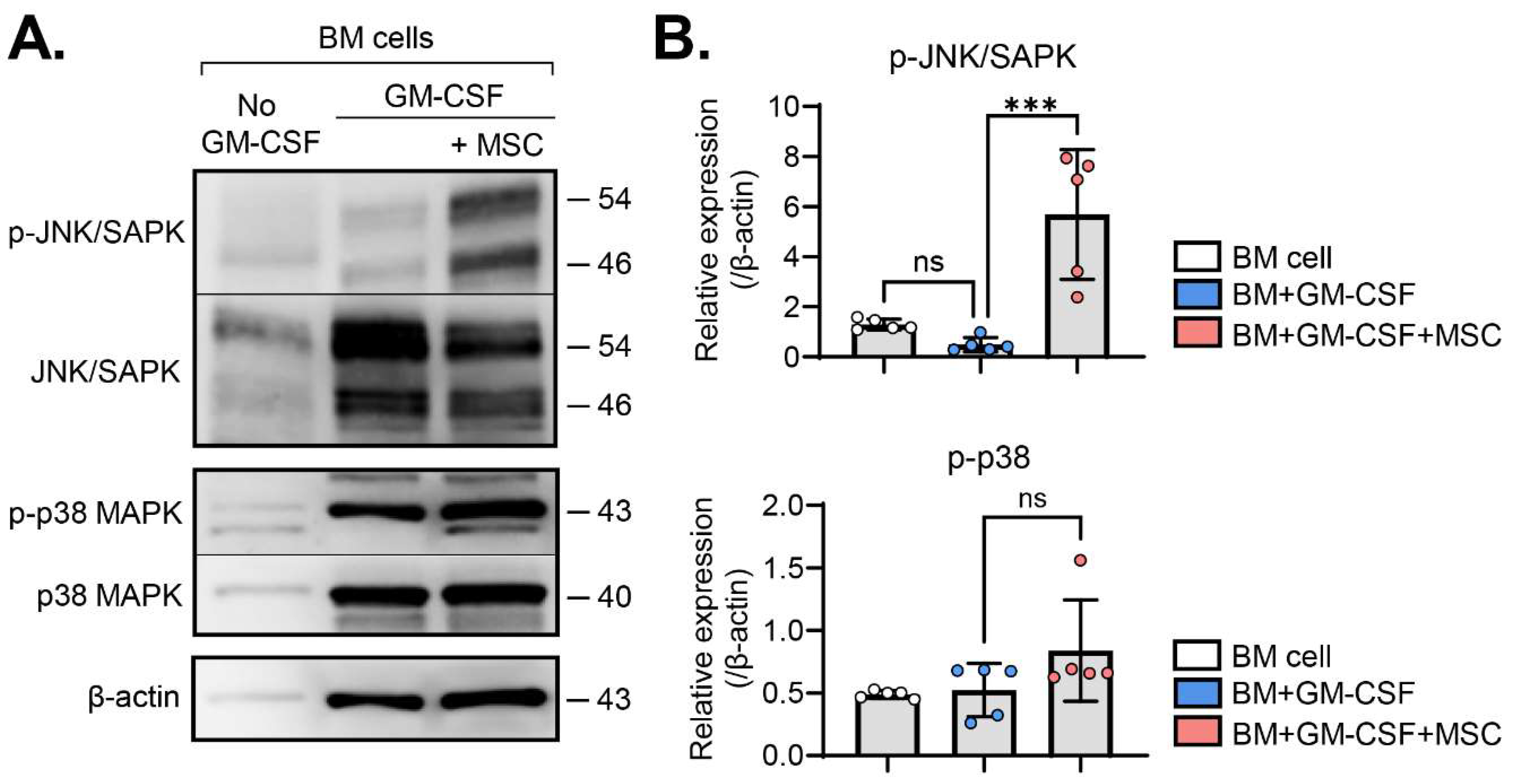 Preprints 94593 g002