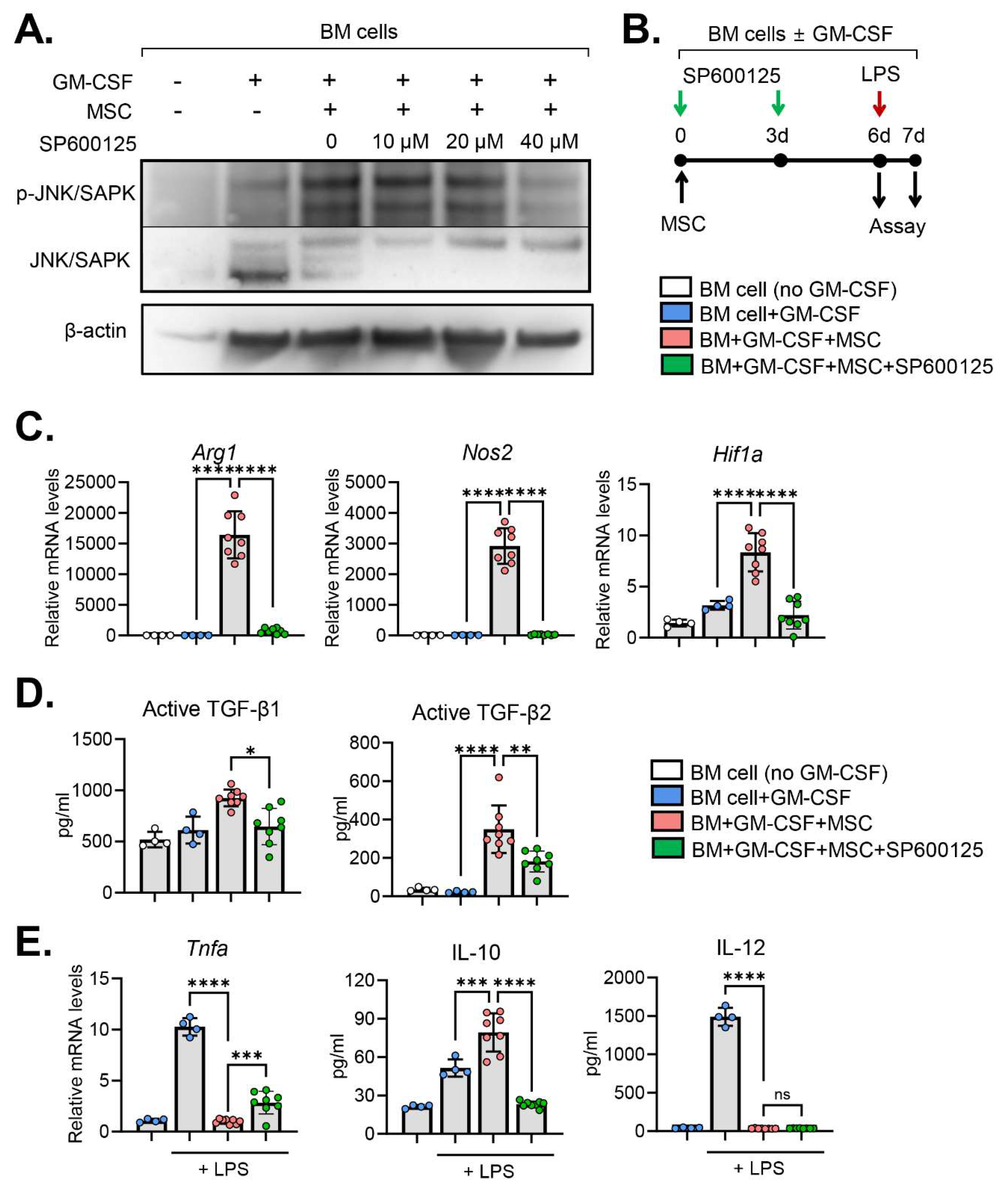 Preprints 94593 g003