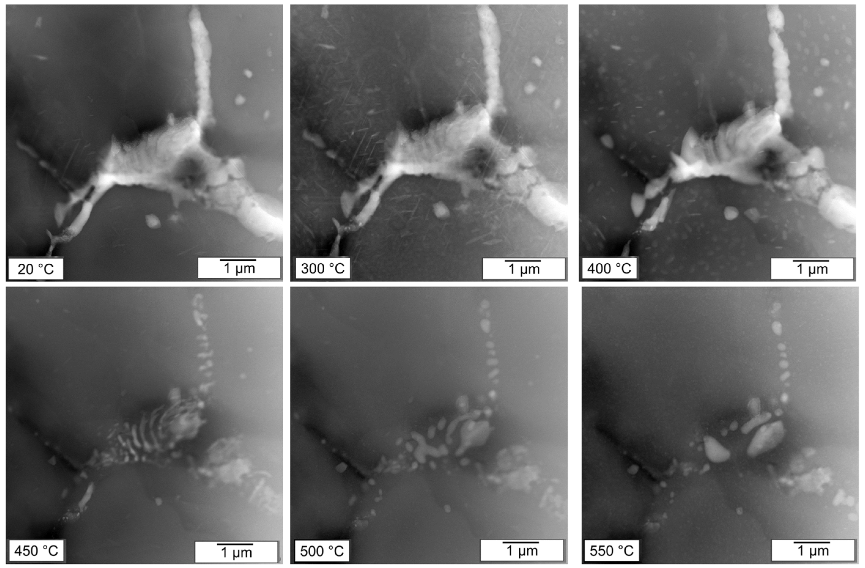 Preprints 96414 g008