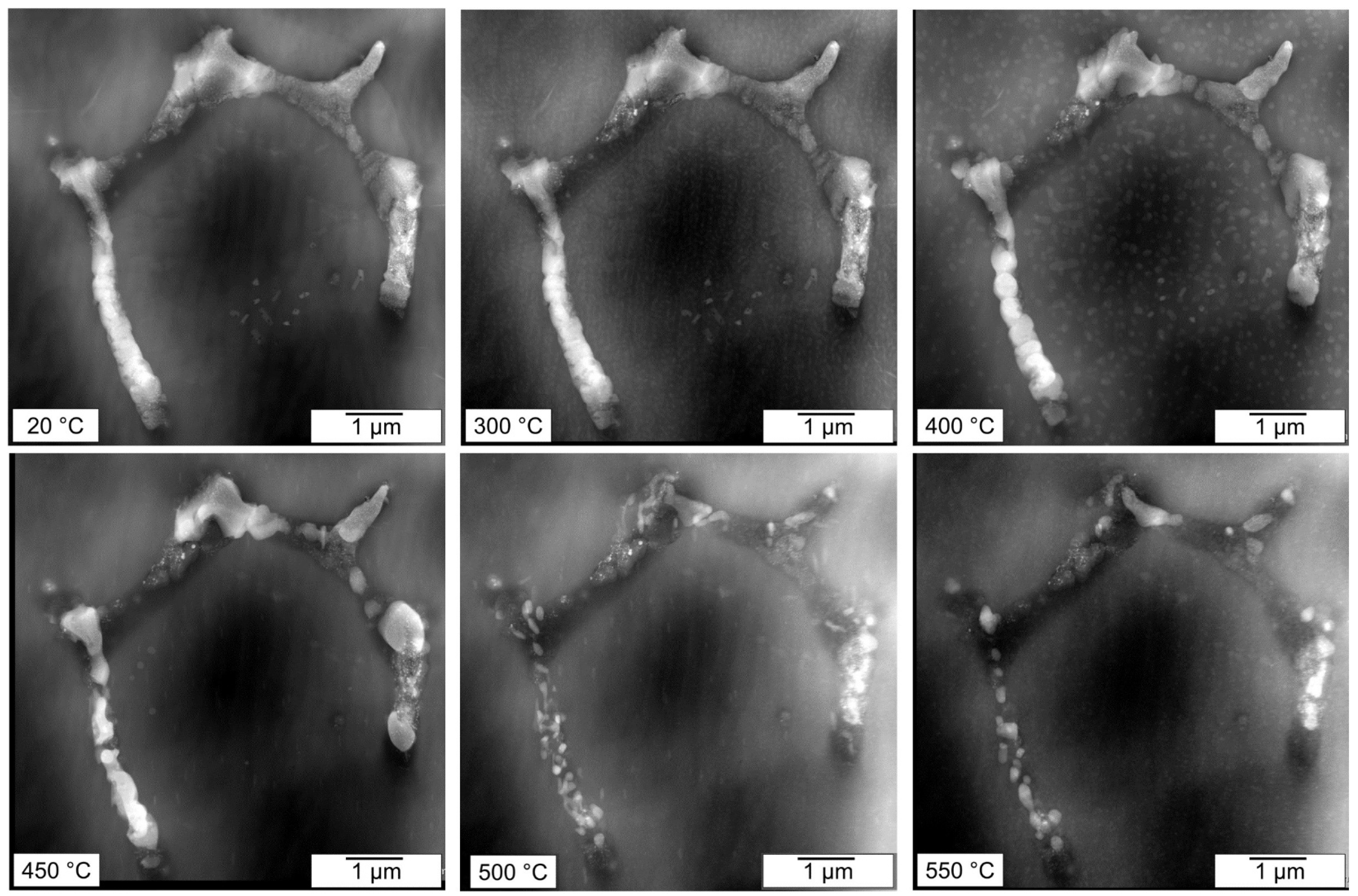 Preprints 96414 g009