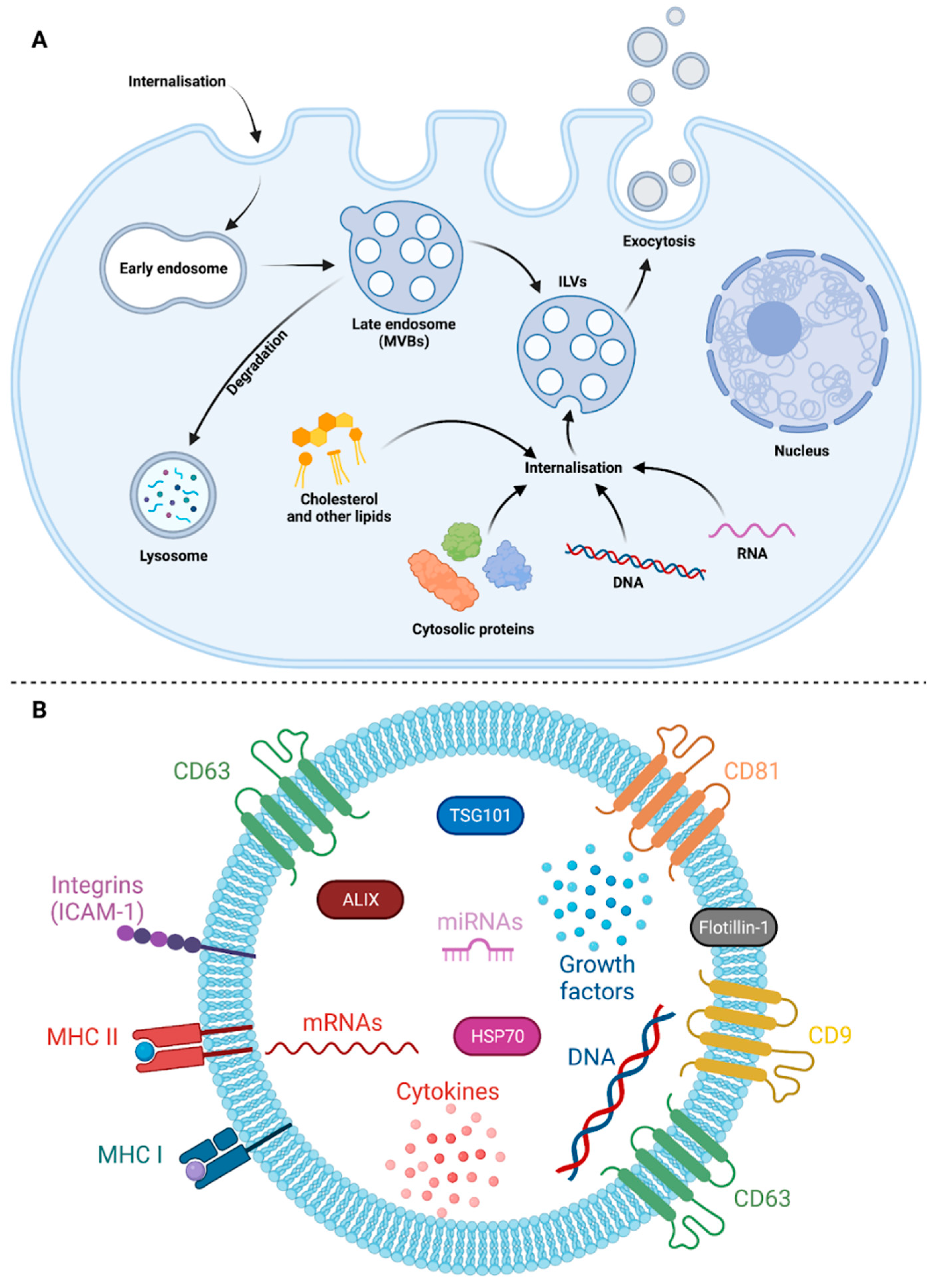 Preprints 95075 g001