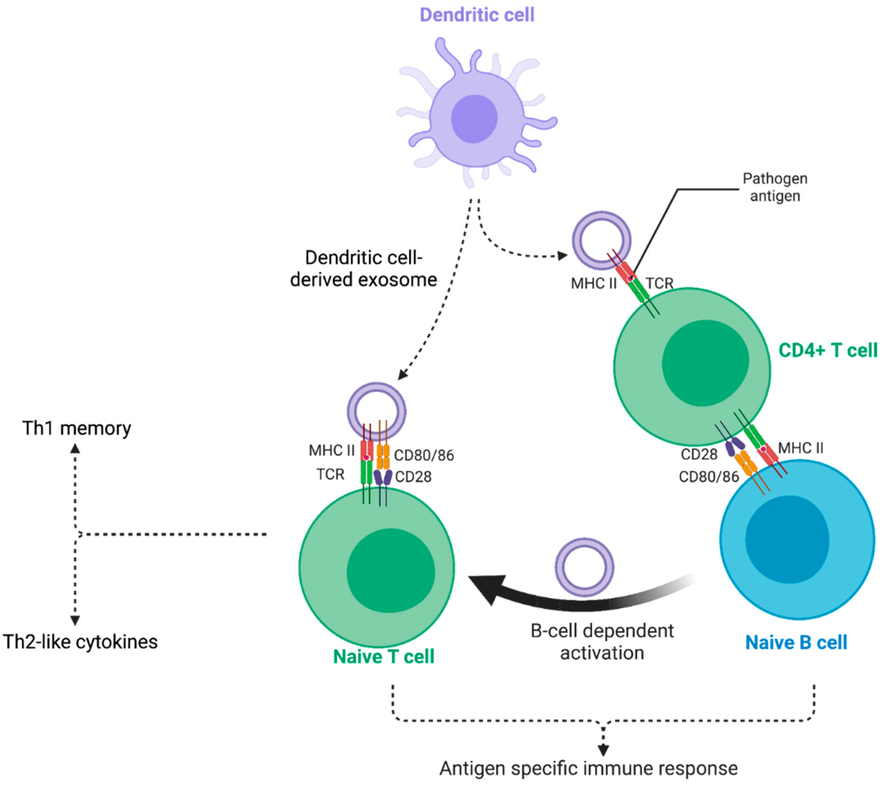 Preprints 95075 g003