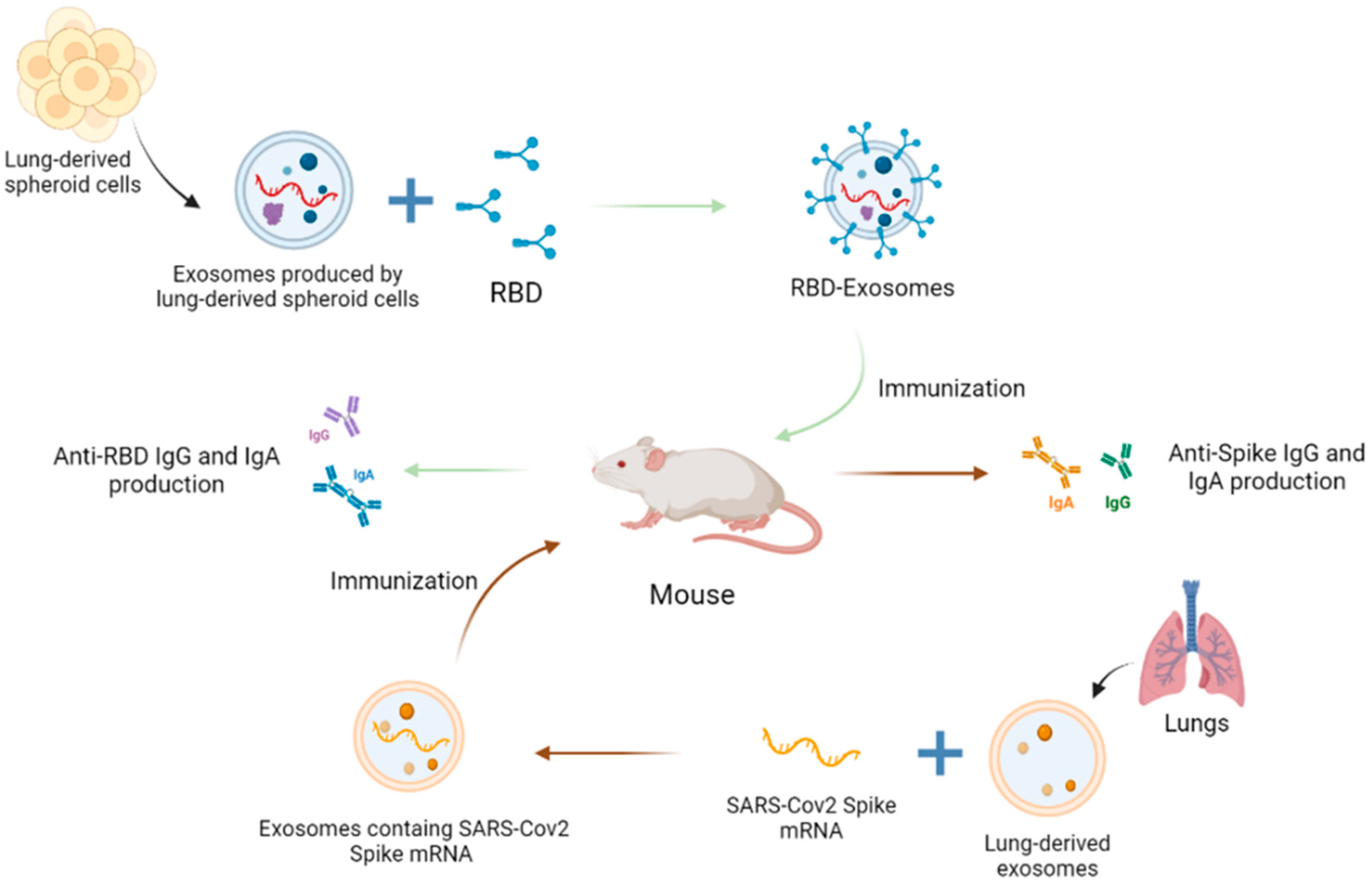 Preprints 95075 g004