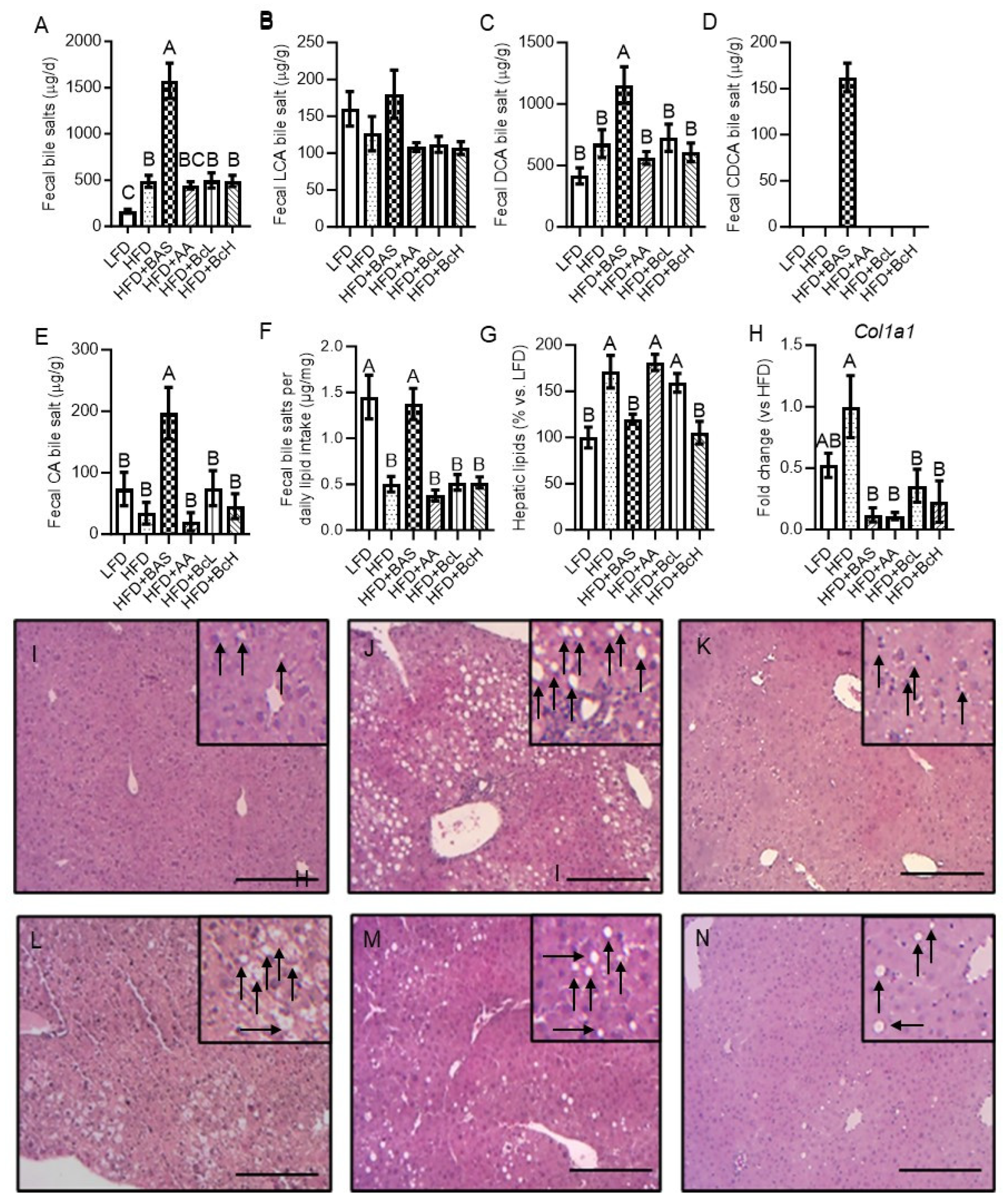 Preprints 121071 g003