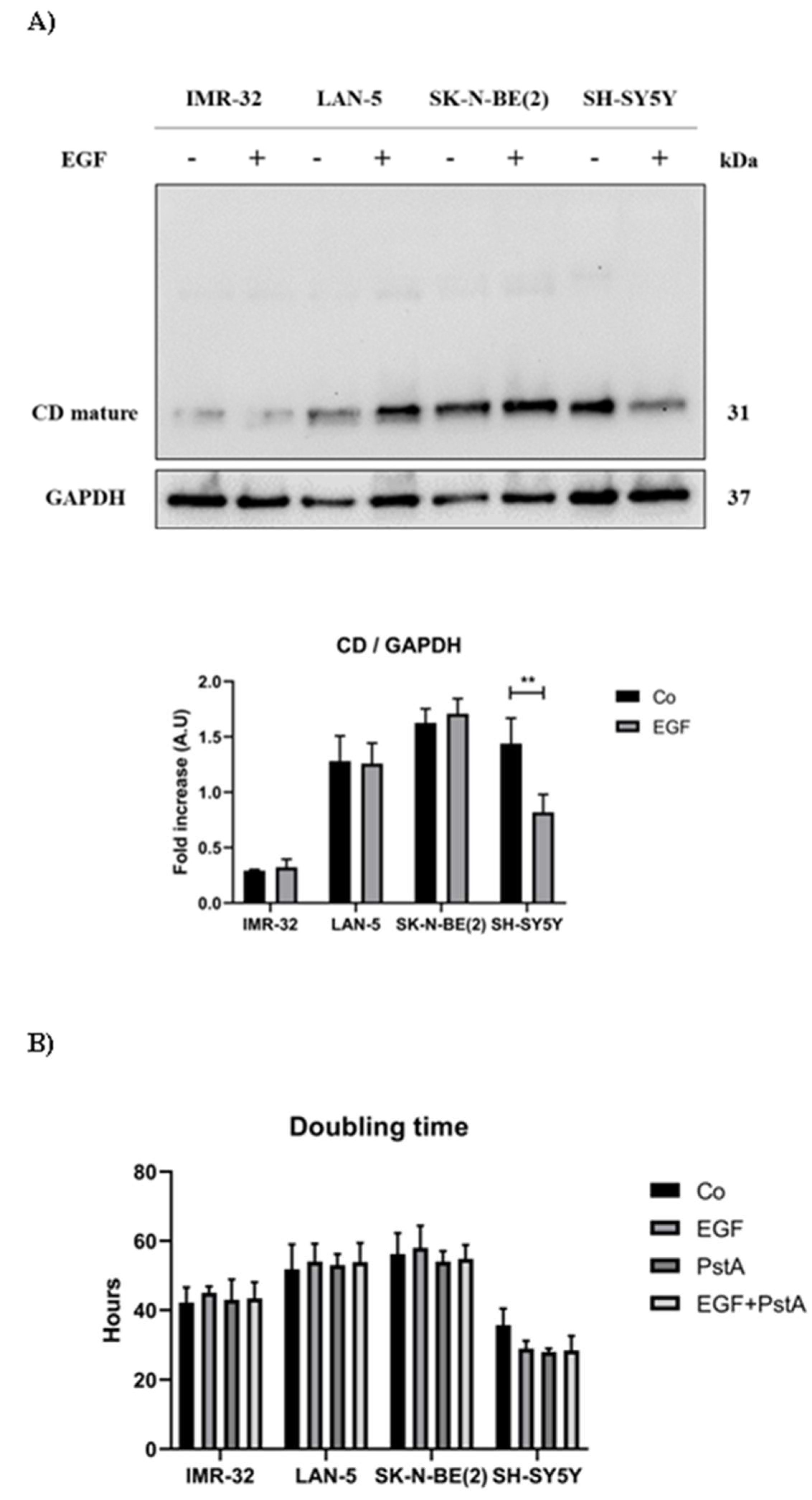 Preprints 97332 g001