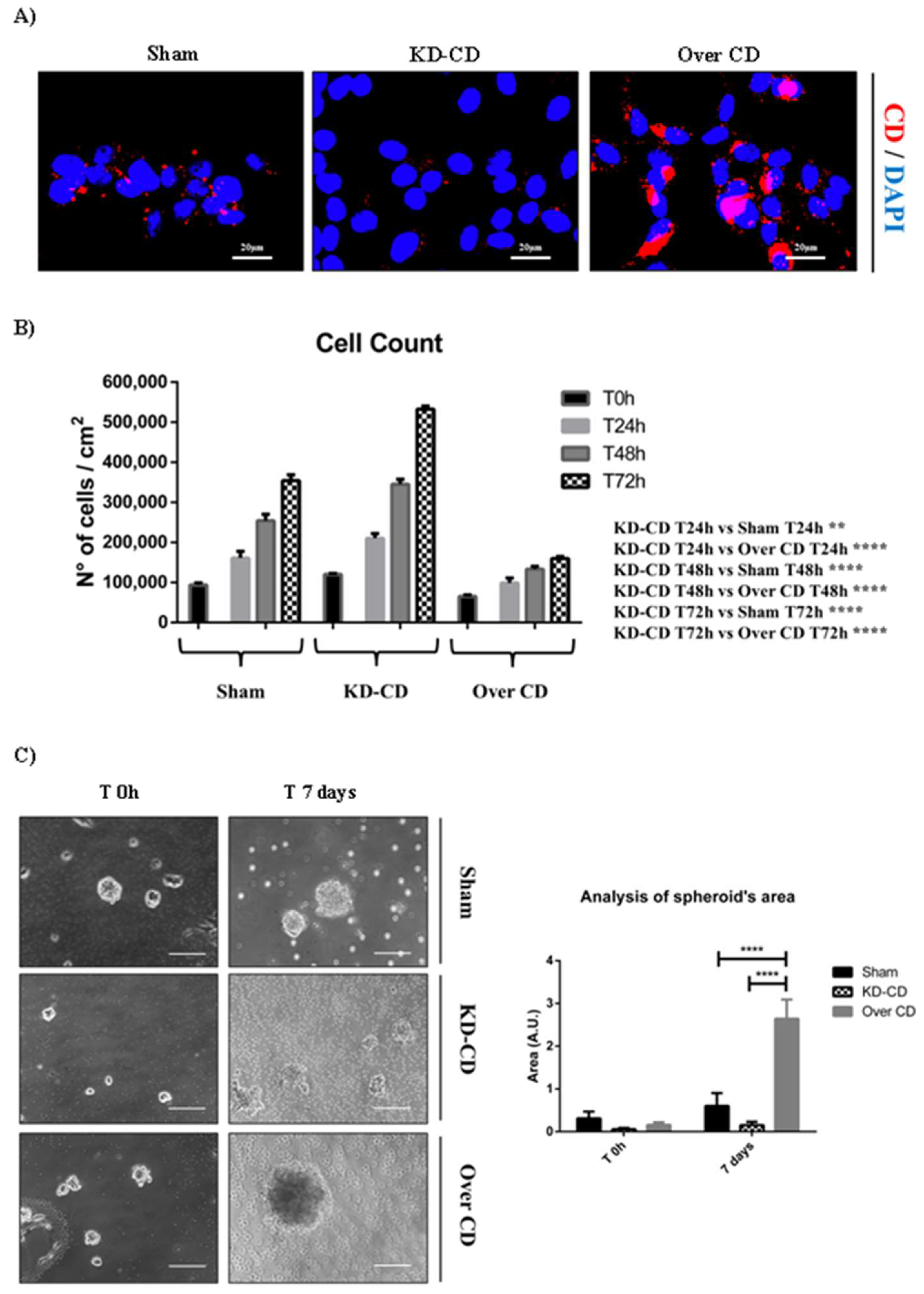 Preprints 97332 g003