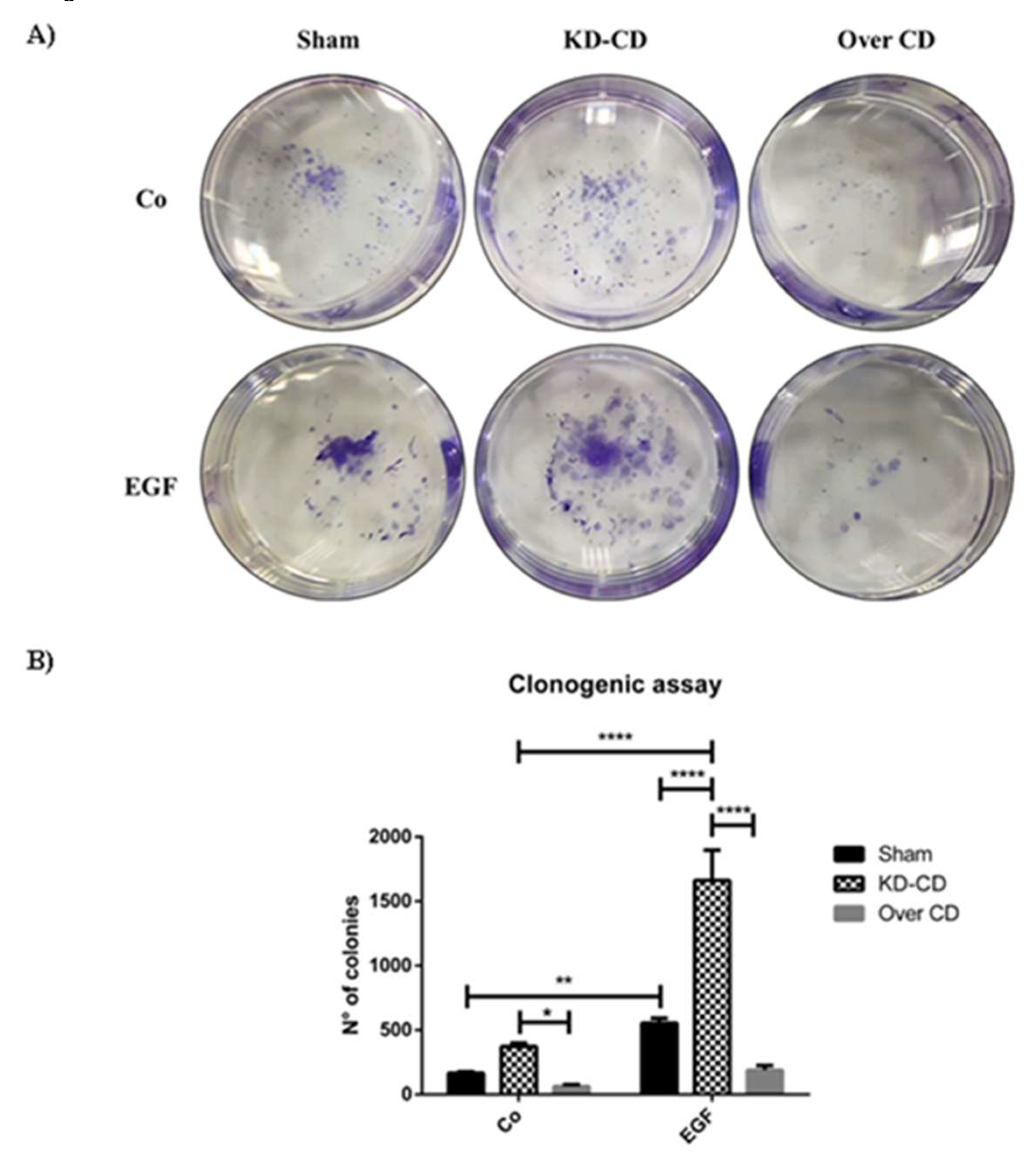 Preprints 97332 g004