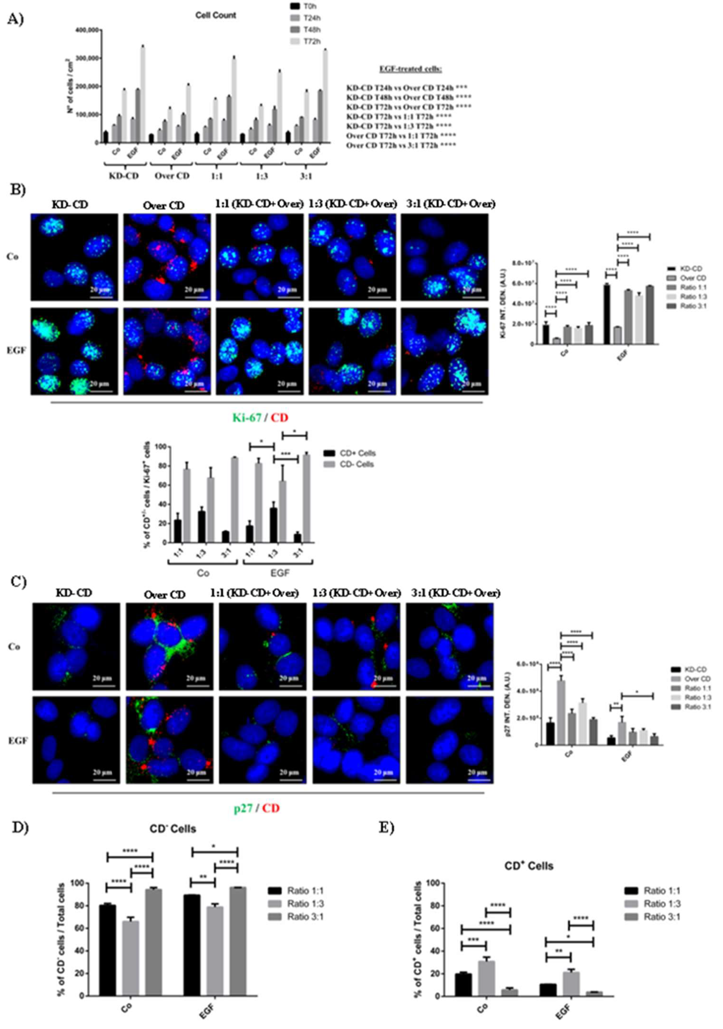 Preprints 97332 g005