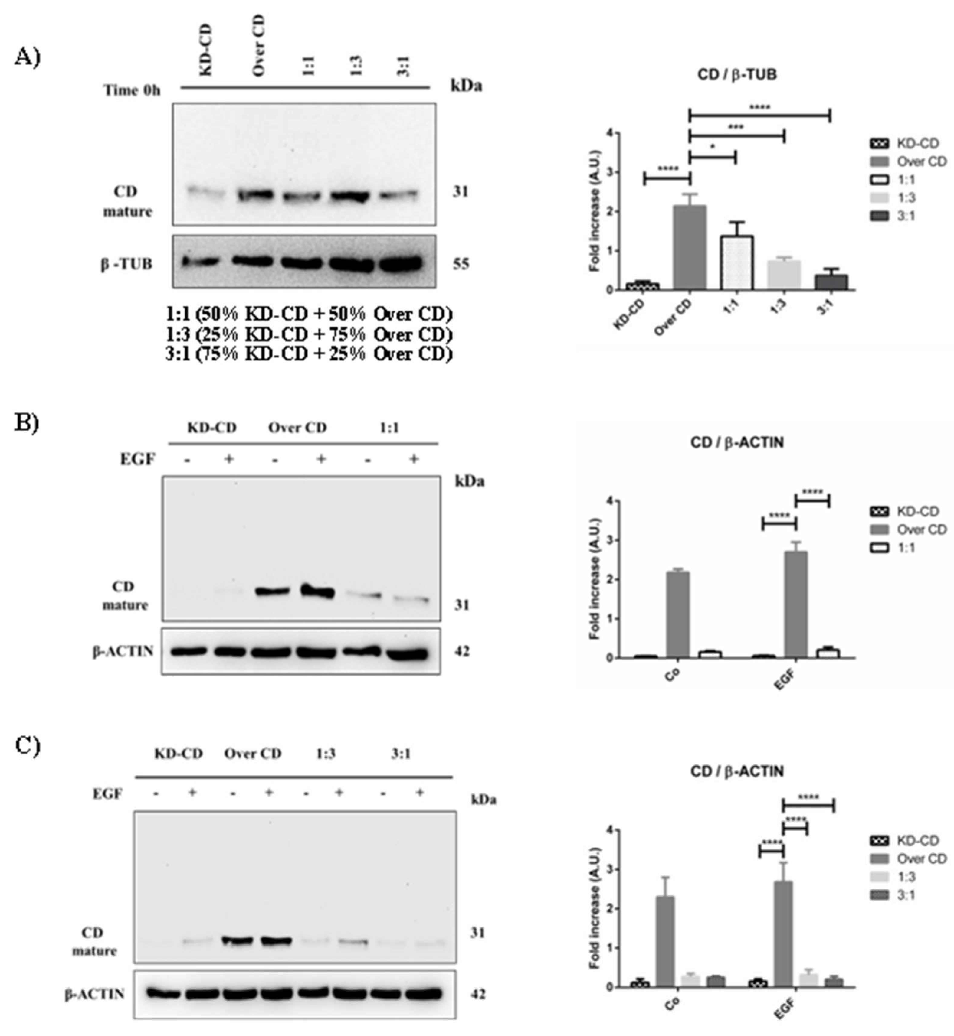 Preprints 97332 g006