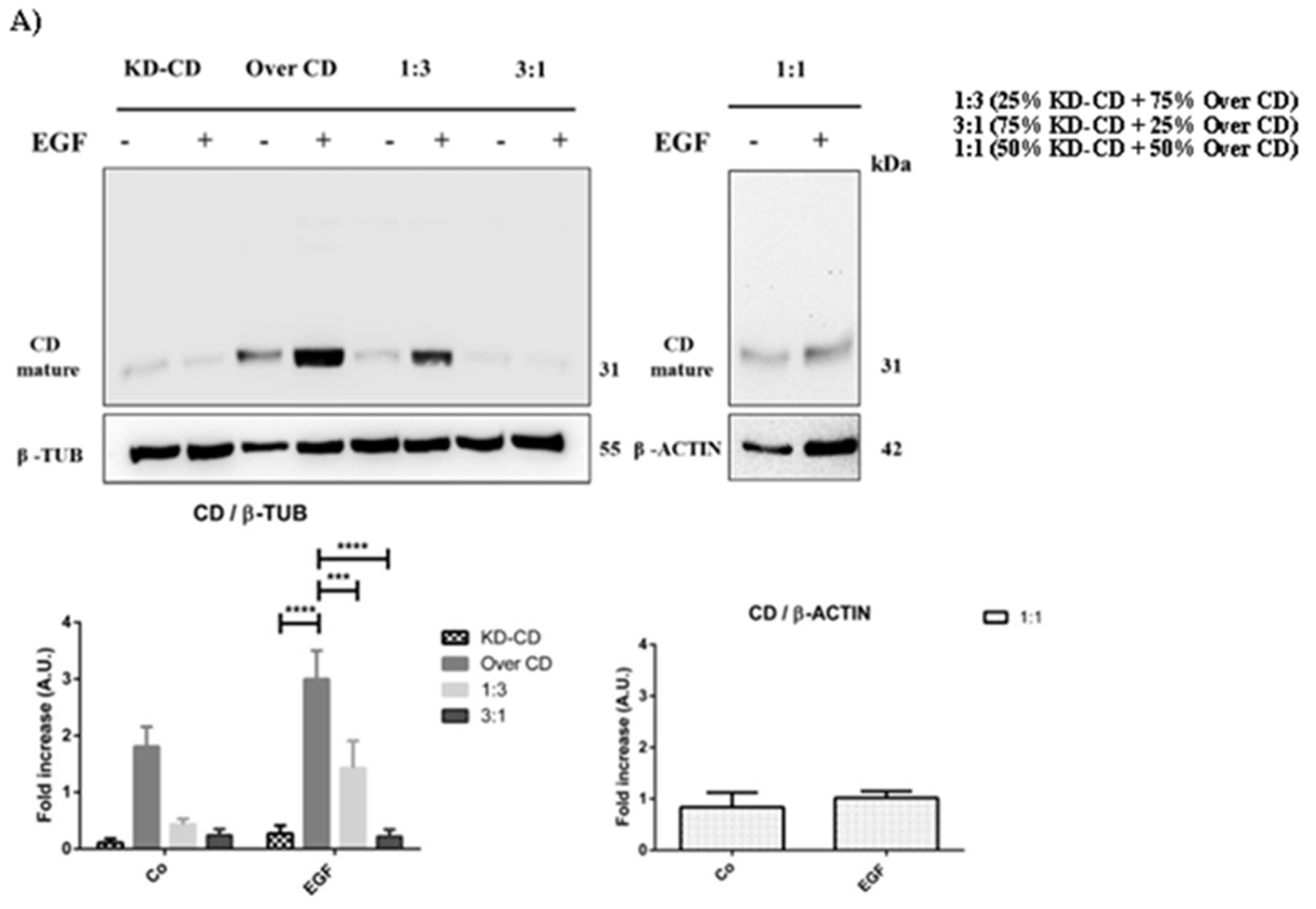 Preprints 97332 g008