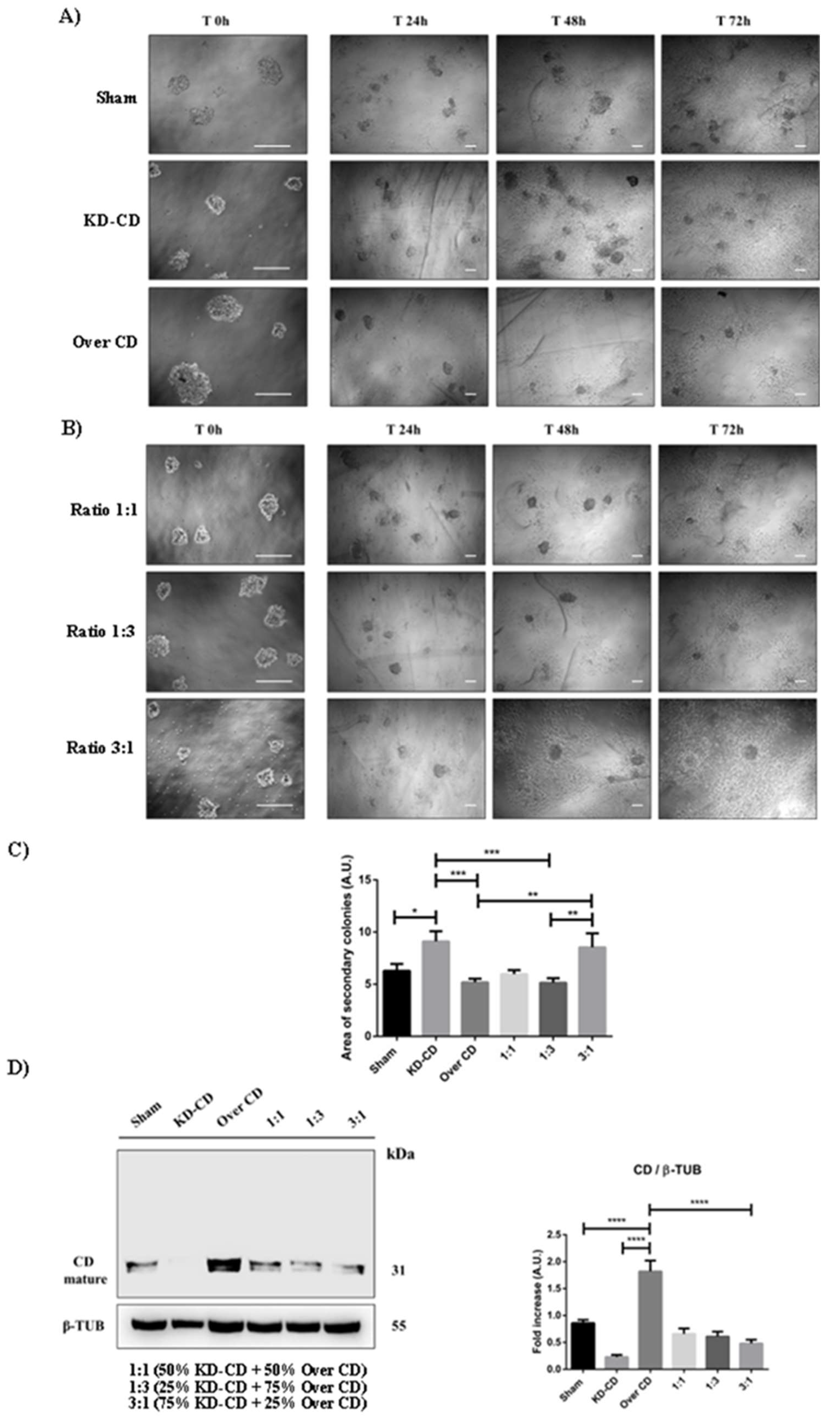 Preprints 97332 g009