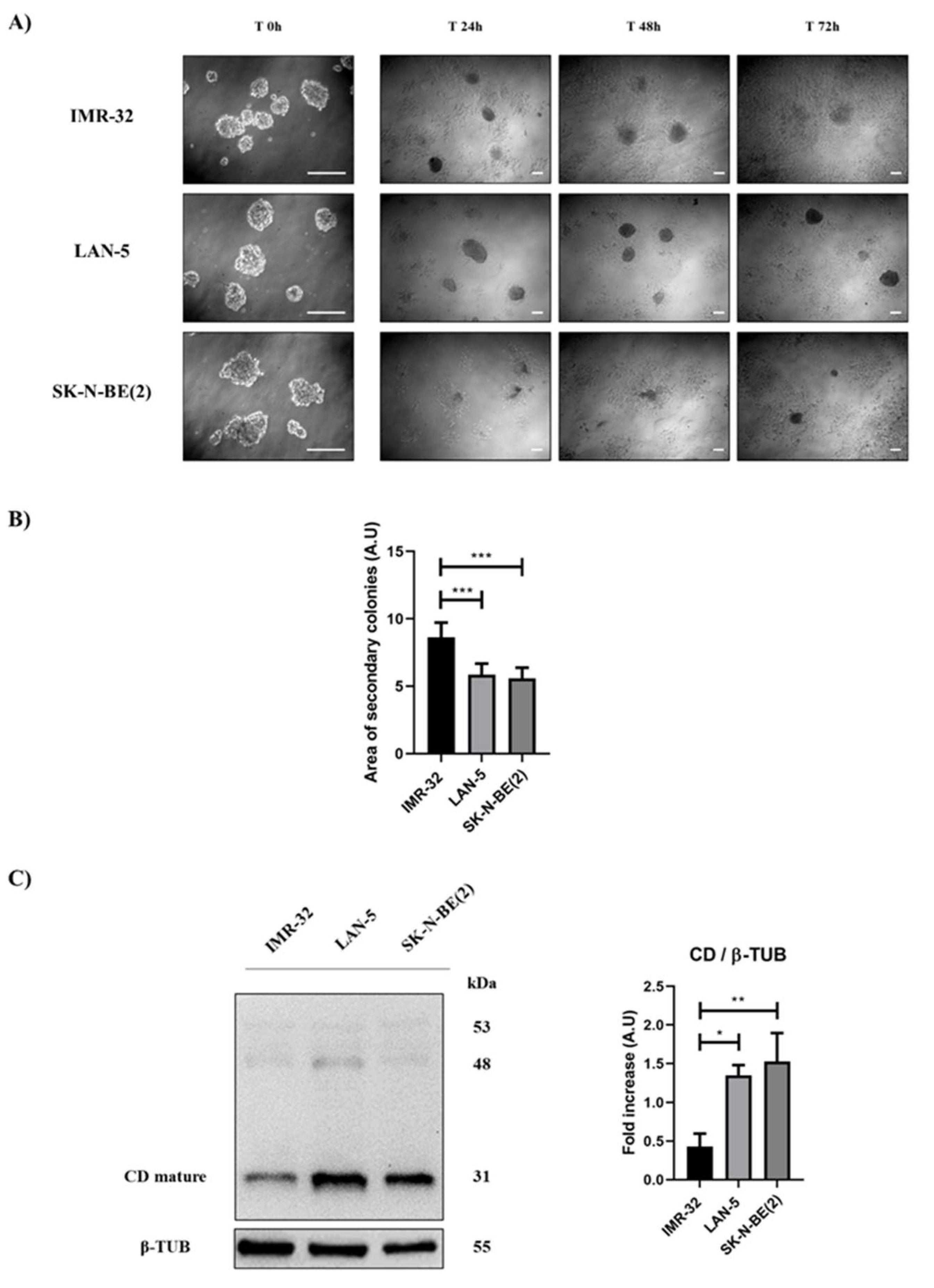 Preprints 97332 g010