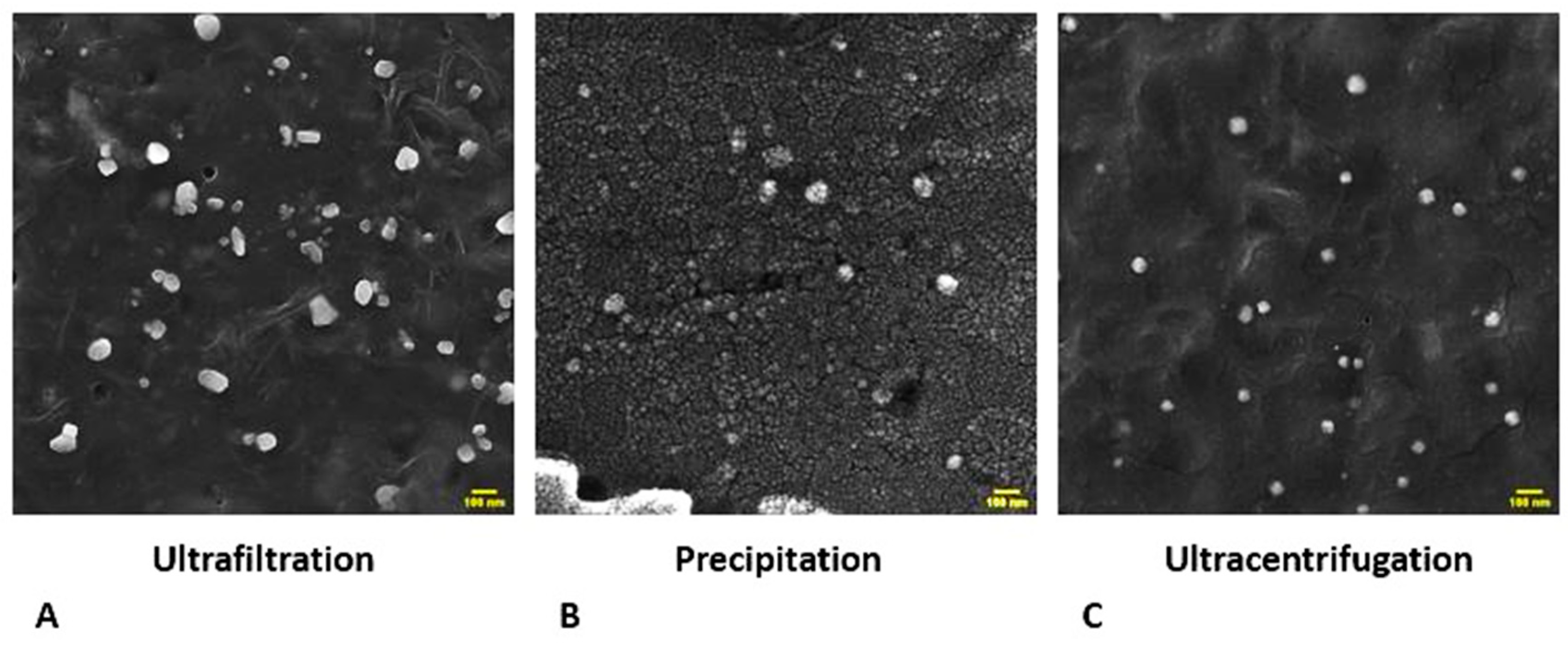 Preprints 82673 g001