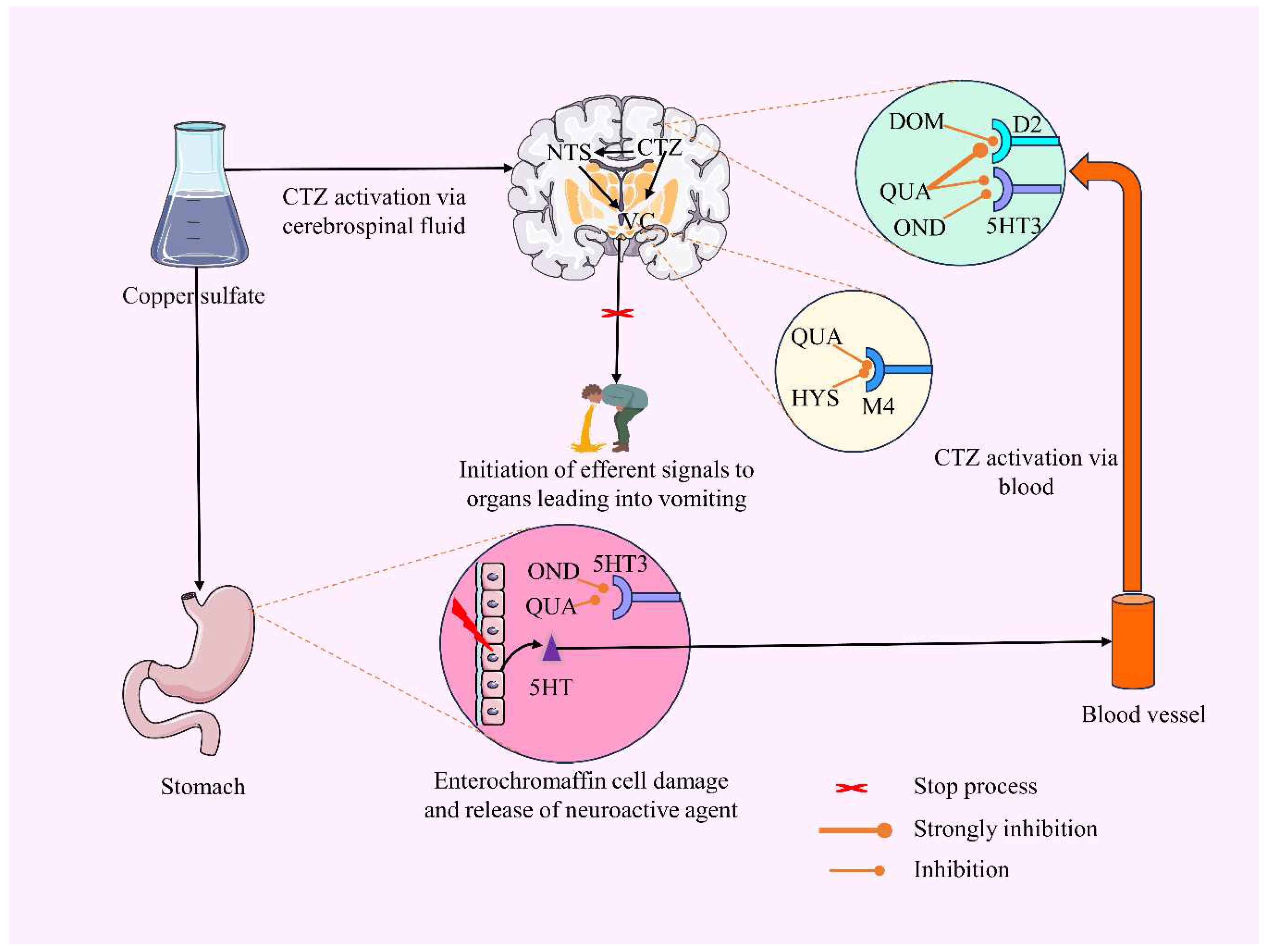 Preprints 90624 g007