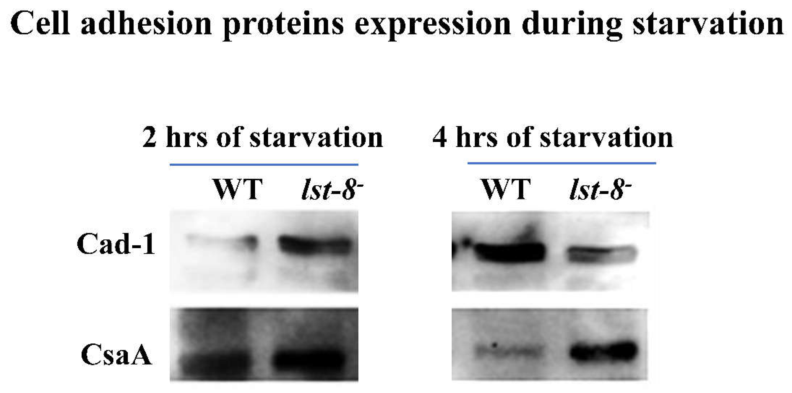 Preprints 113859 g003