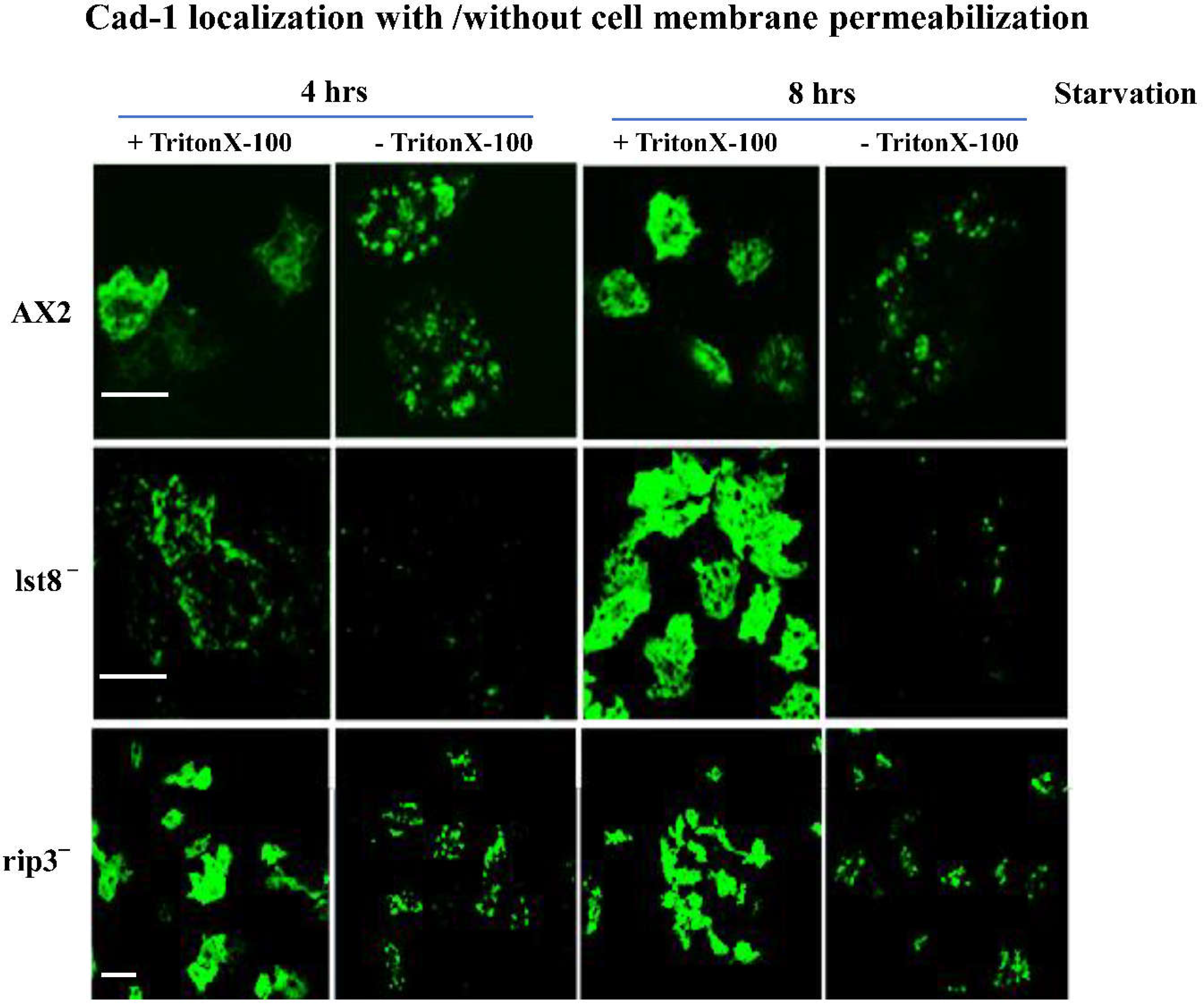 Preprints 113859 g006