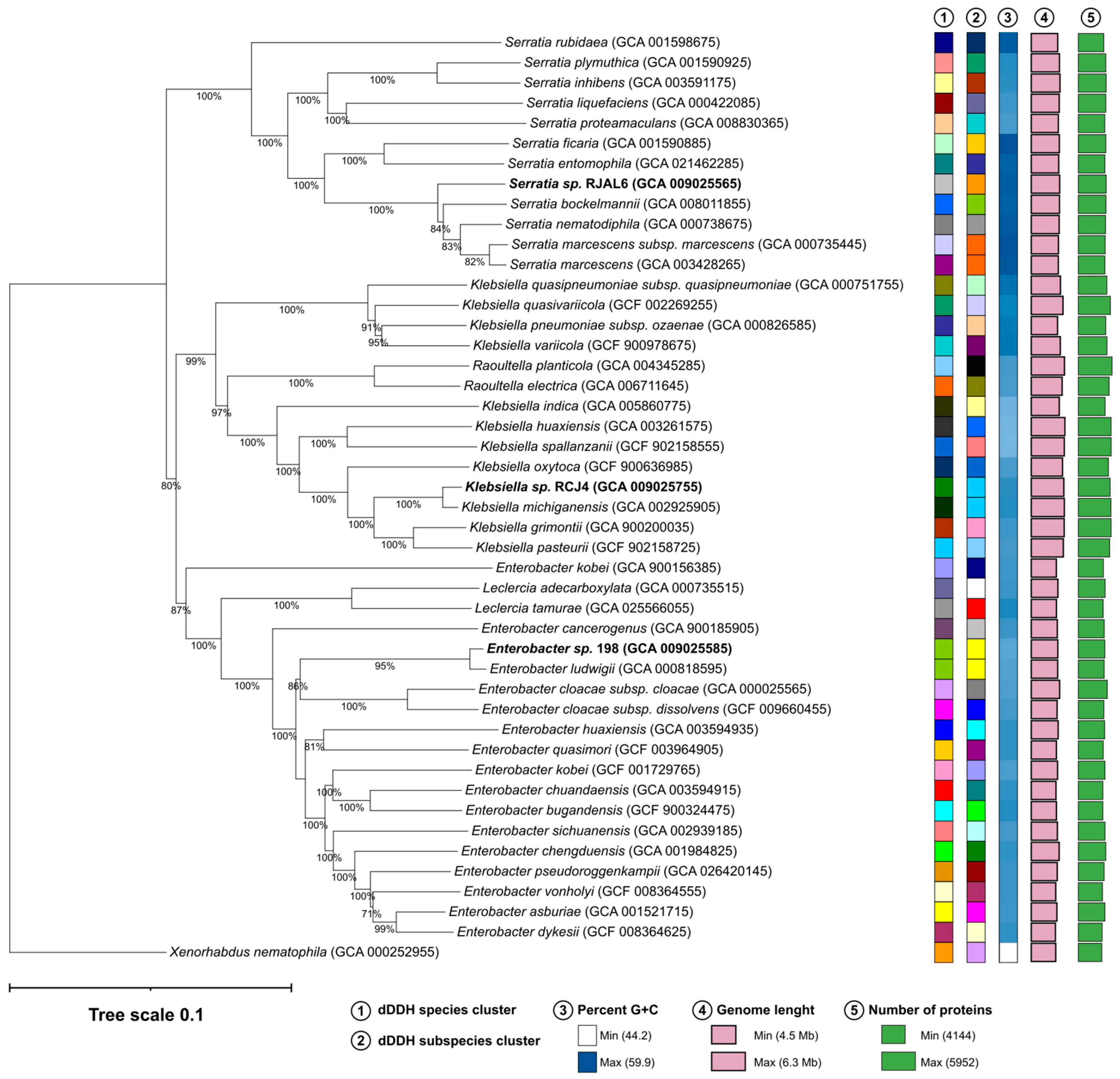 Preprints 96552 g001