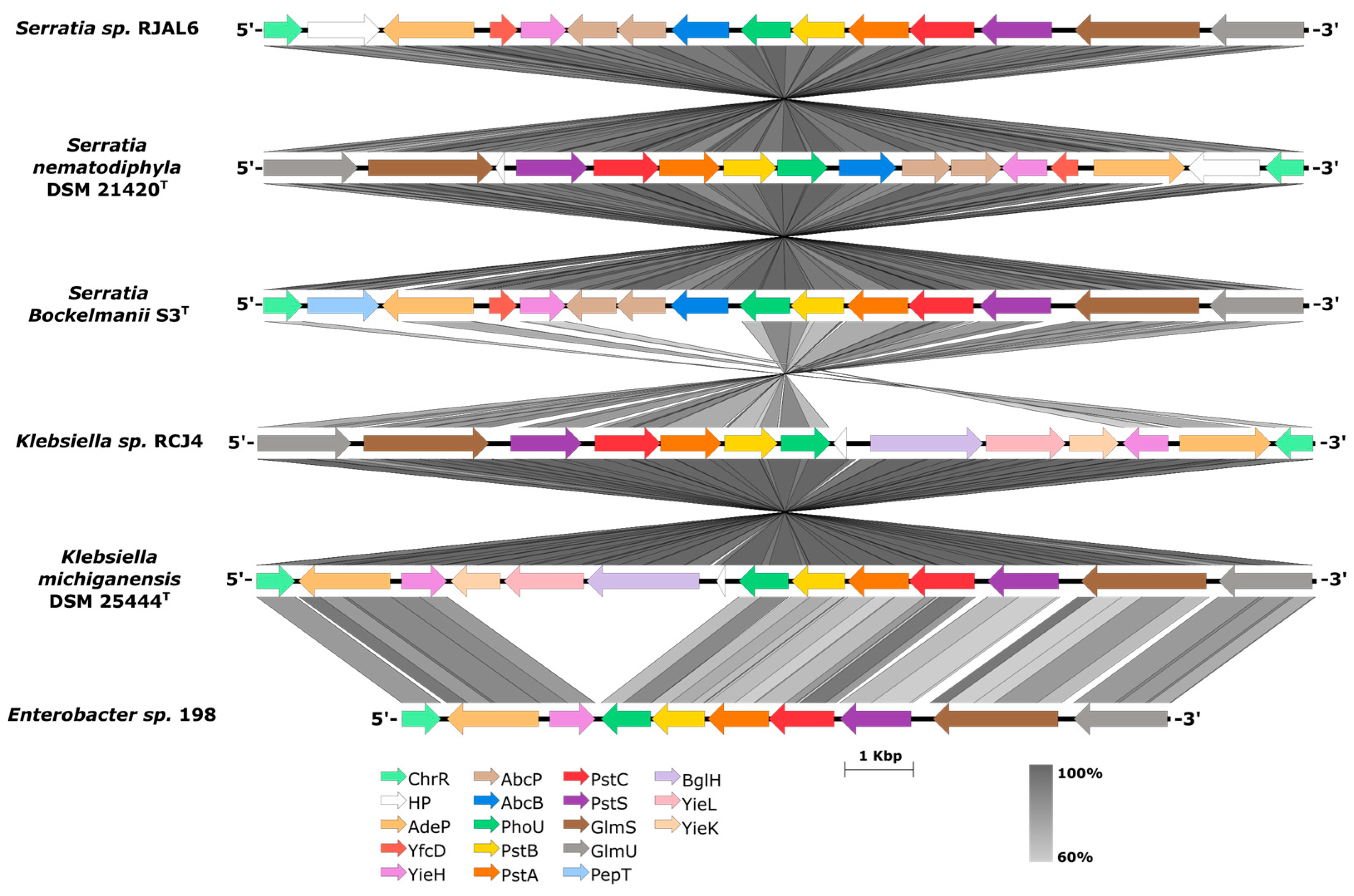 Preprints 96552 g002