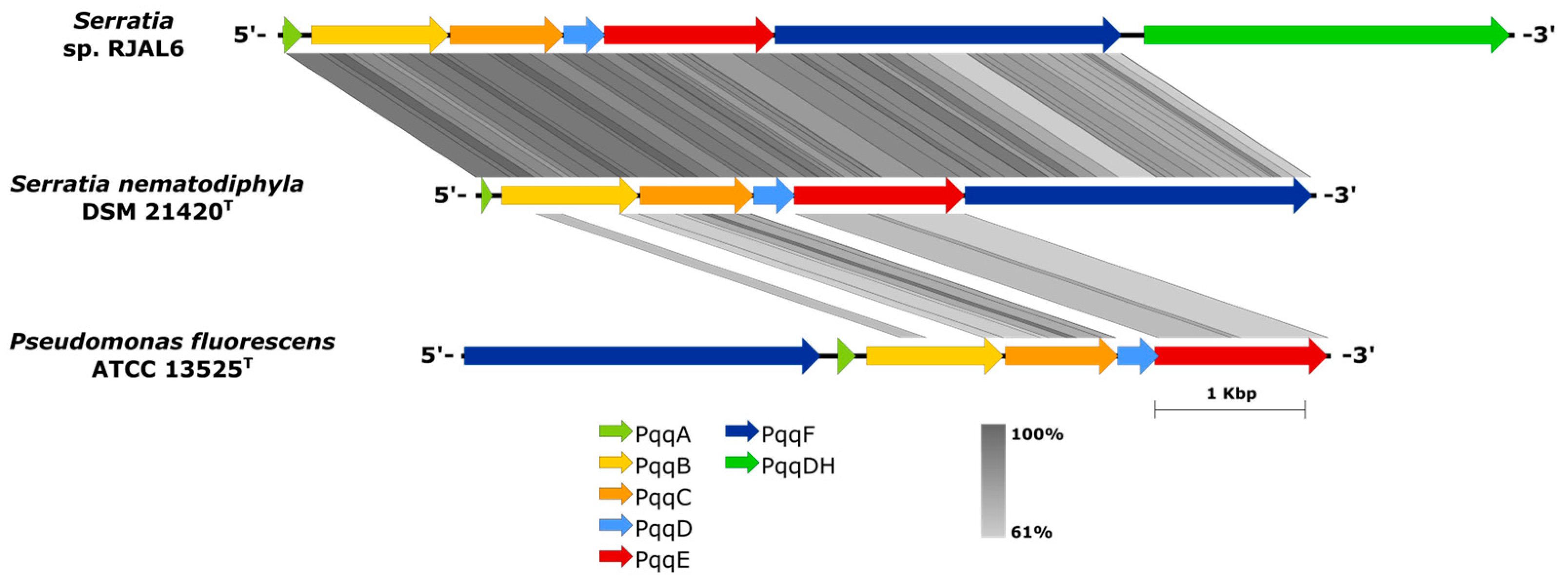 Preprints 96552 g003