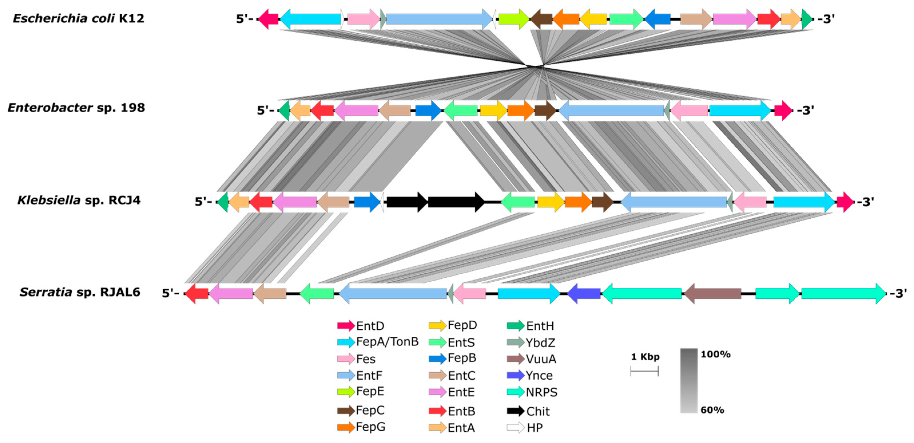 Preprints 96552 g004