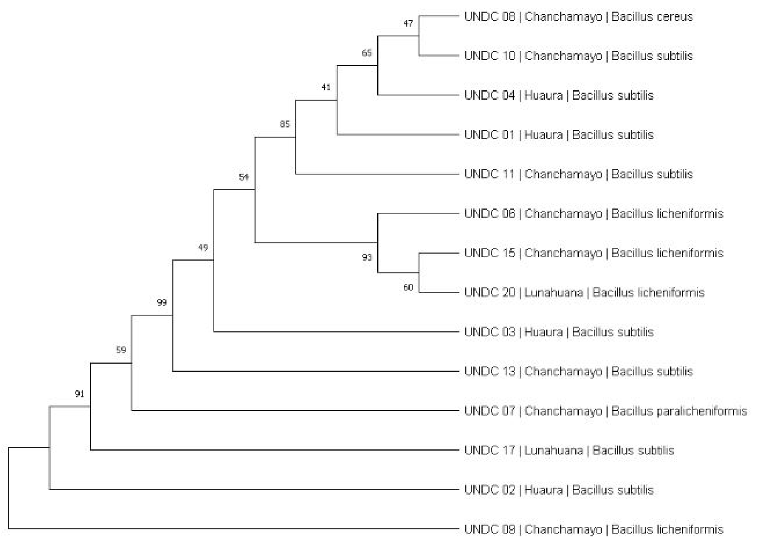 Preprints 86988 g003