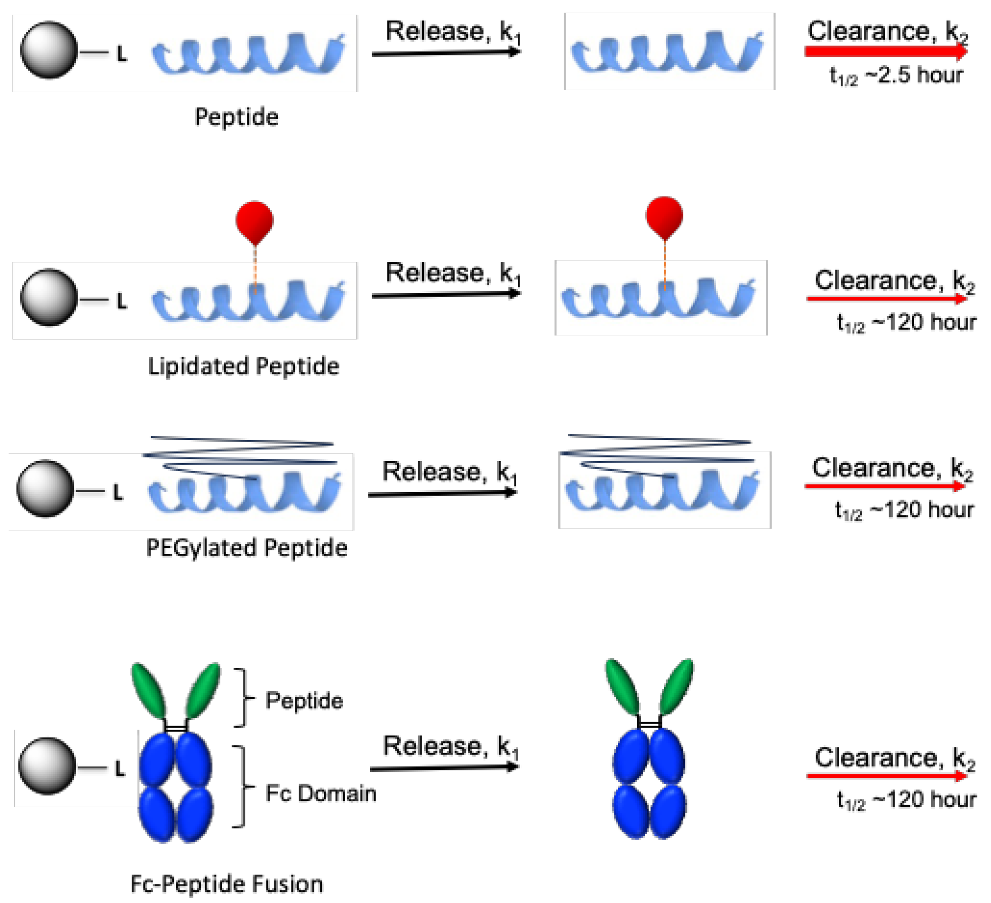 Preprints 120301 g003