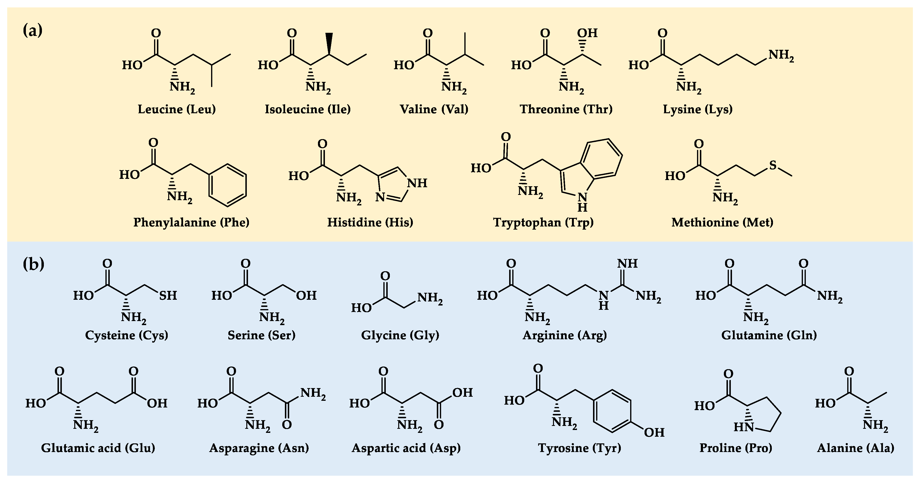 Preprints 75142 g001