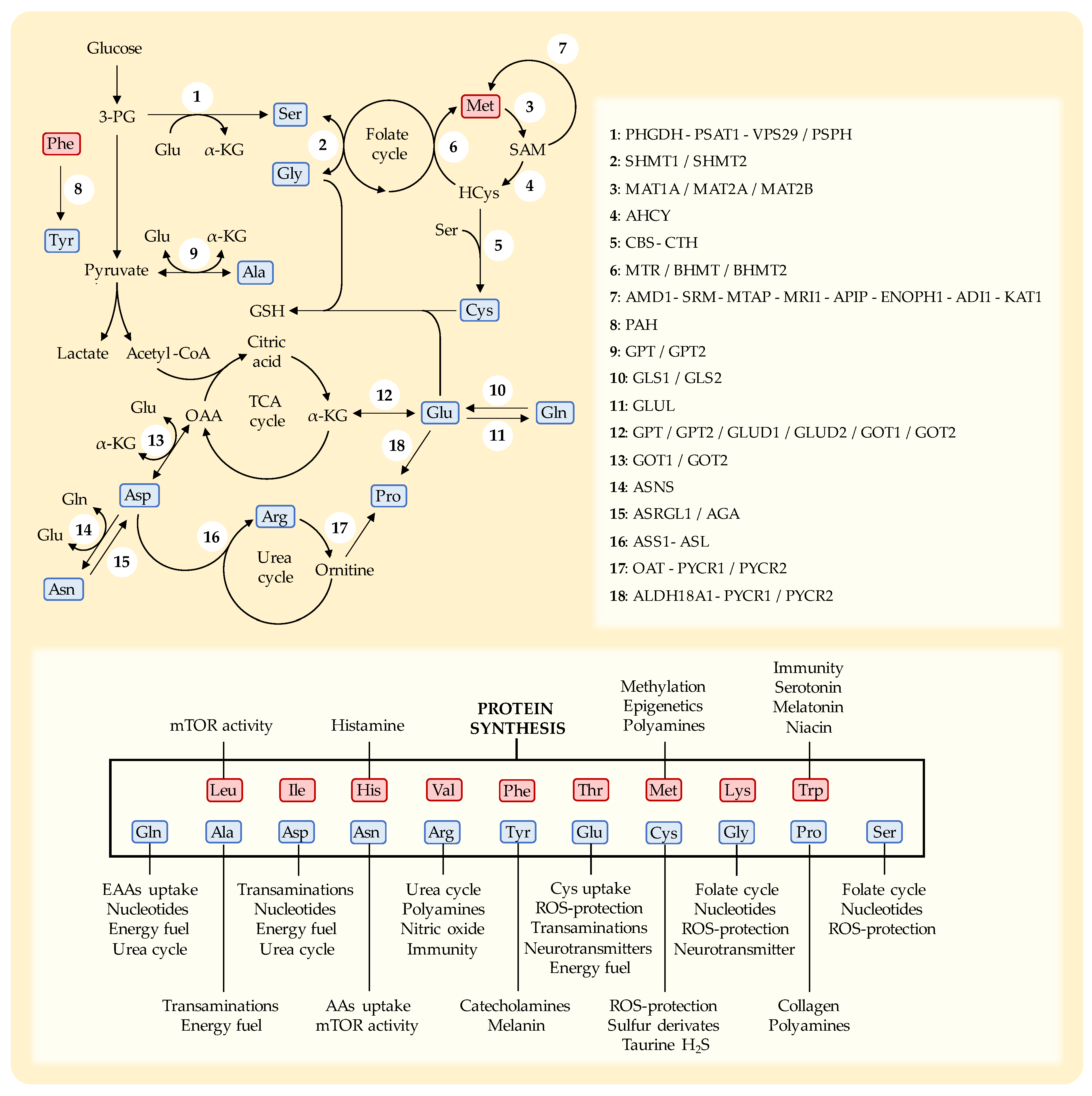 Preprints 75142 g002