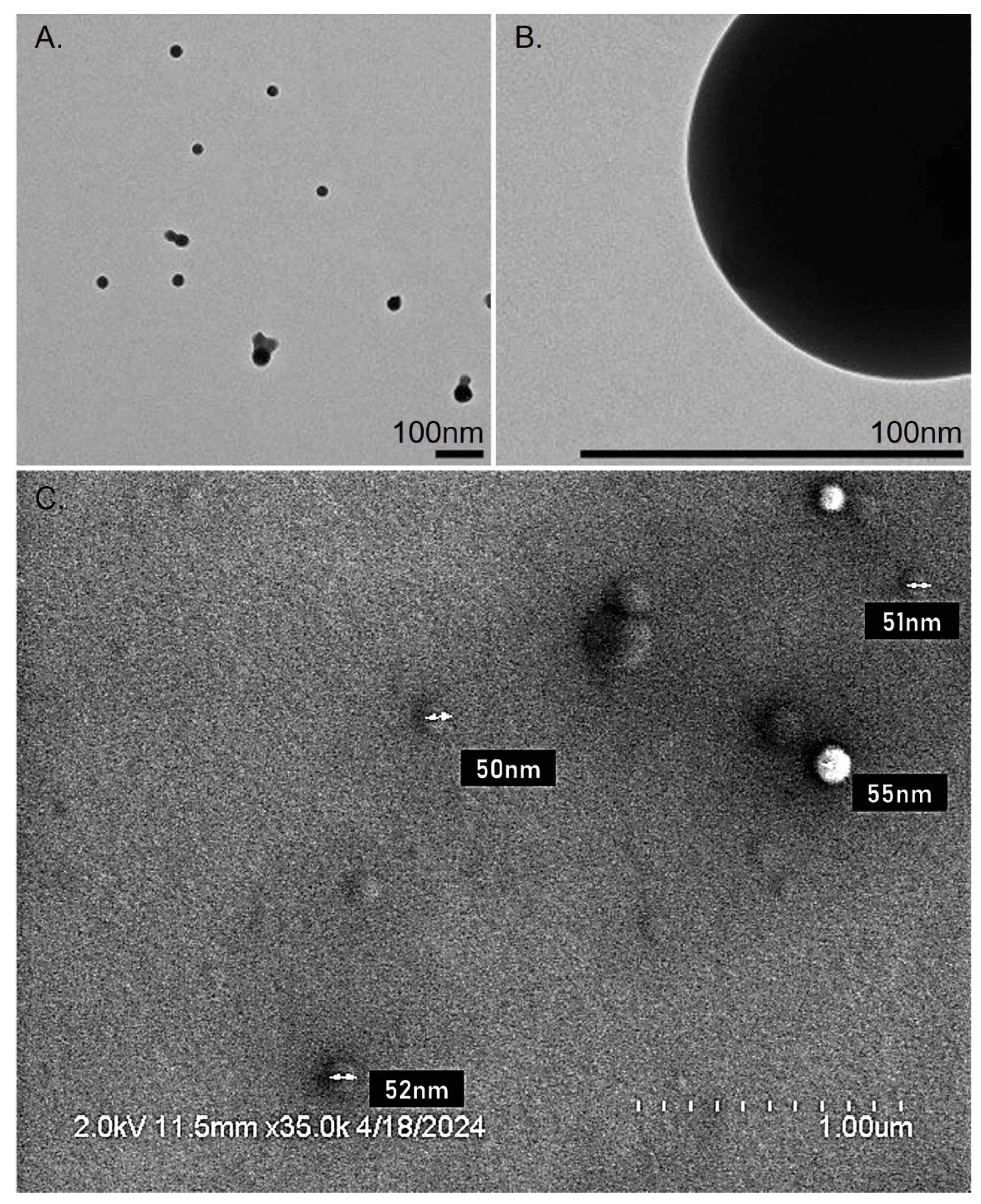 Preprints 120132 g002