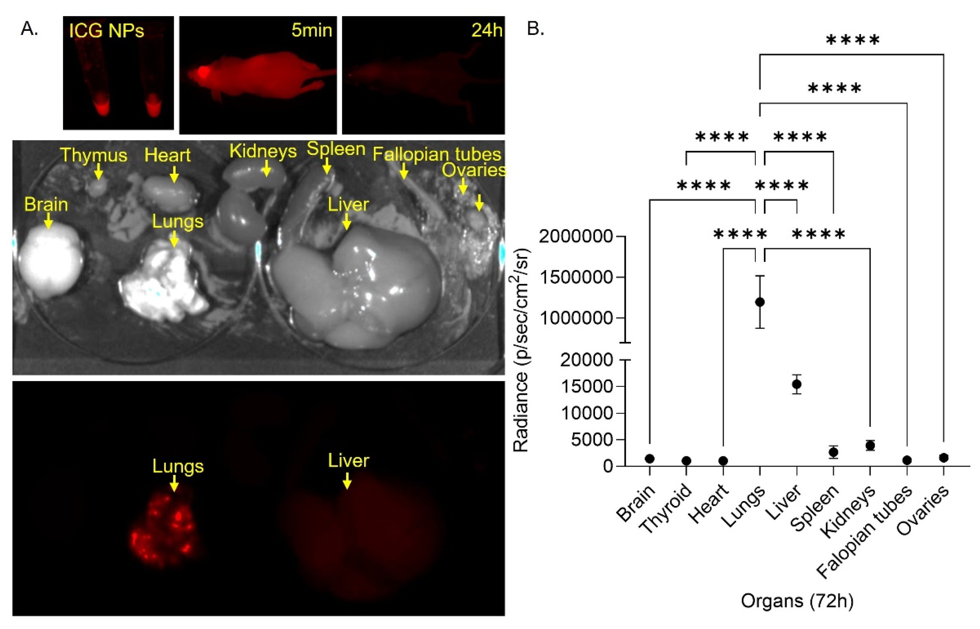 Preprints 120132 g005