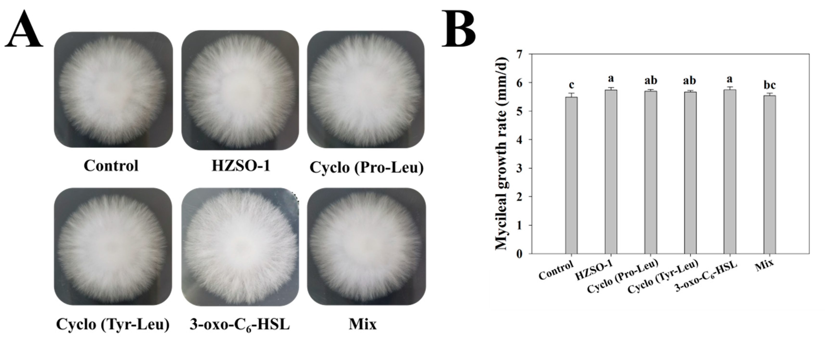 Preprints 91170 g001