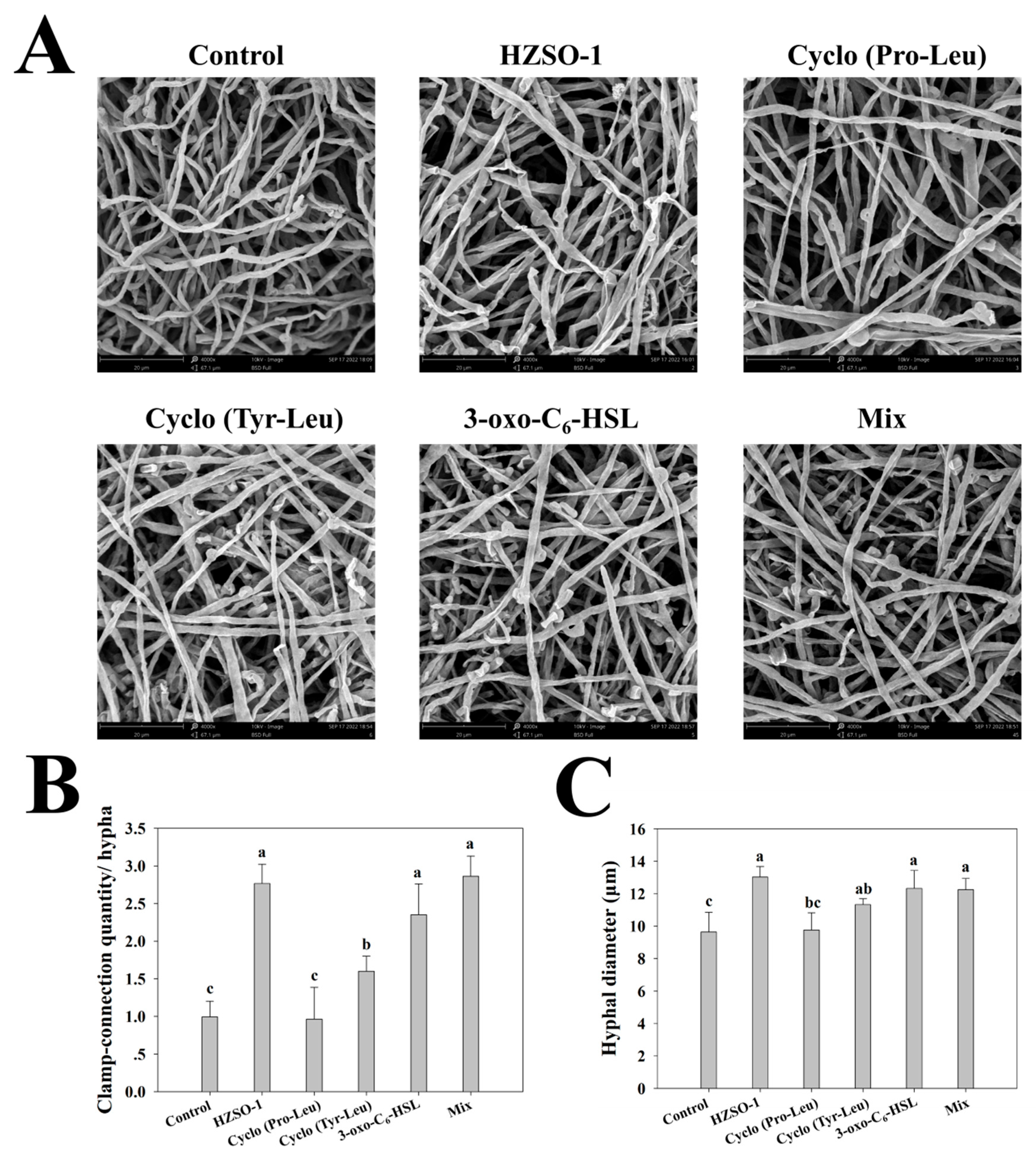 Preprints 91170 g002