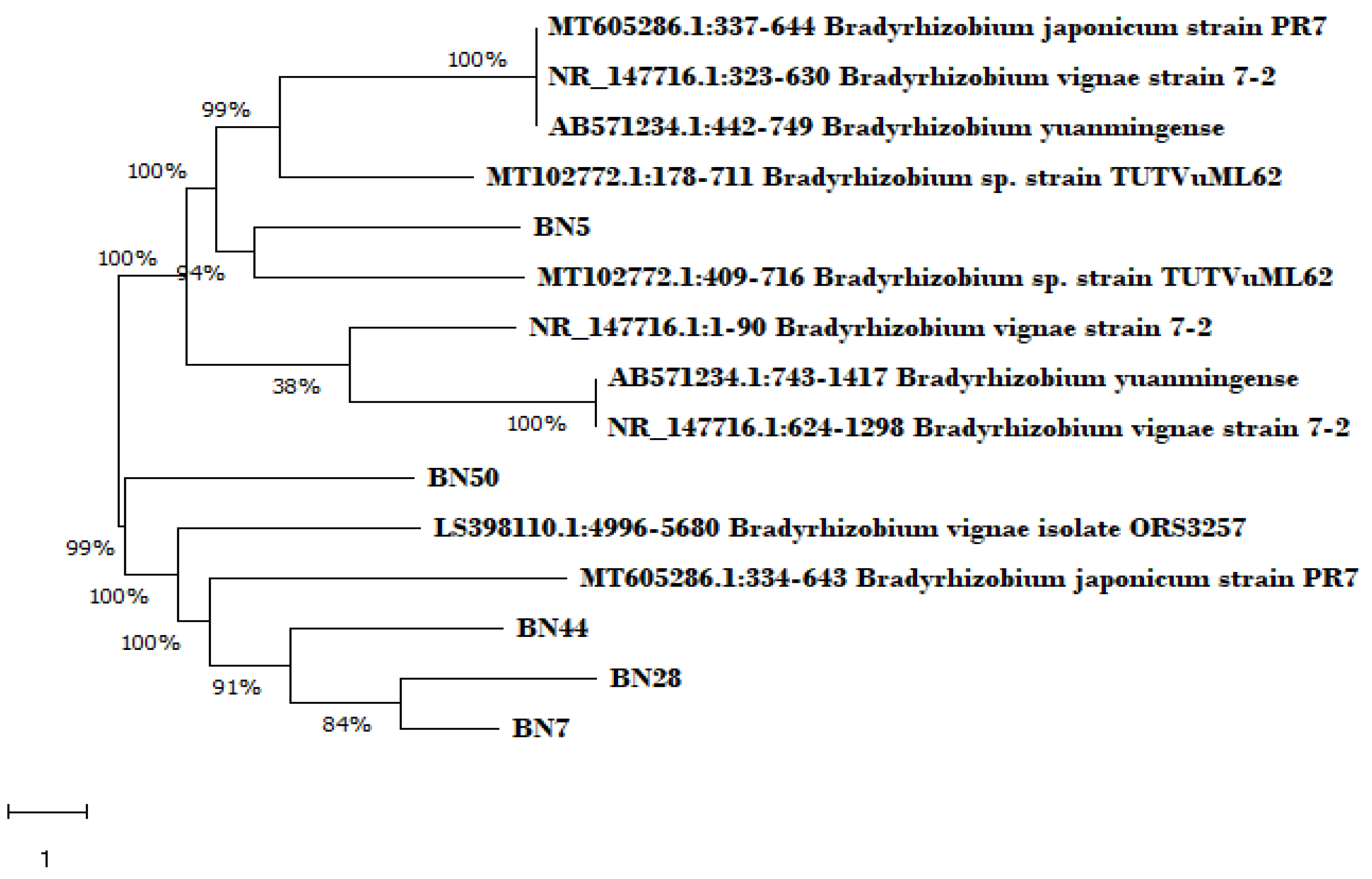 Preprints 92884 g005