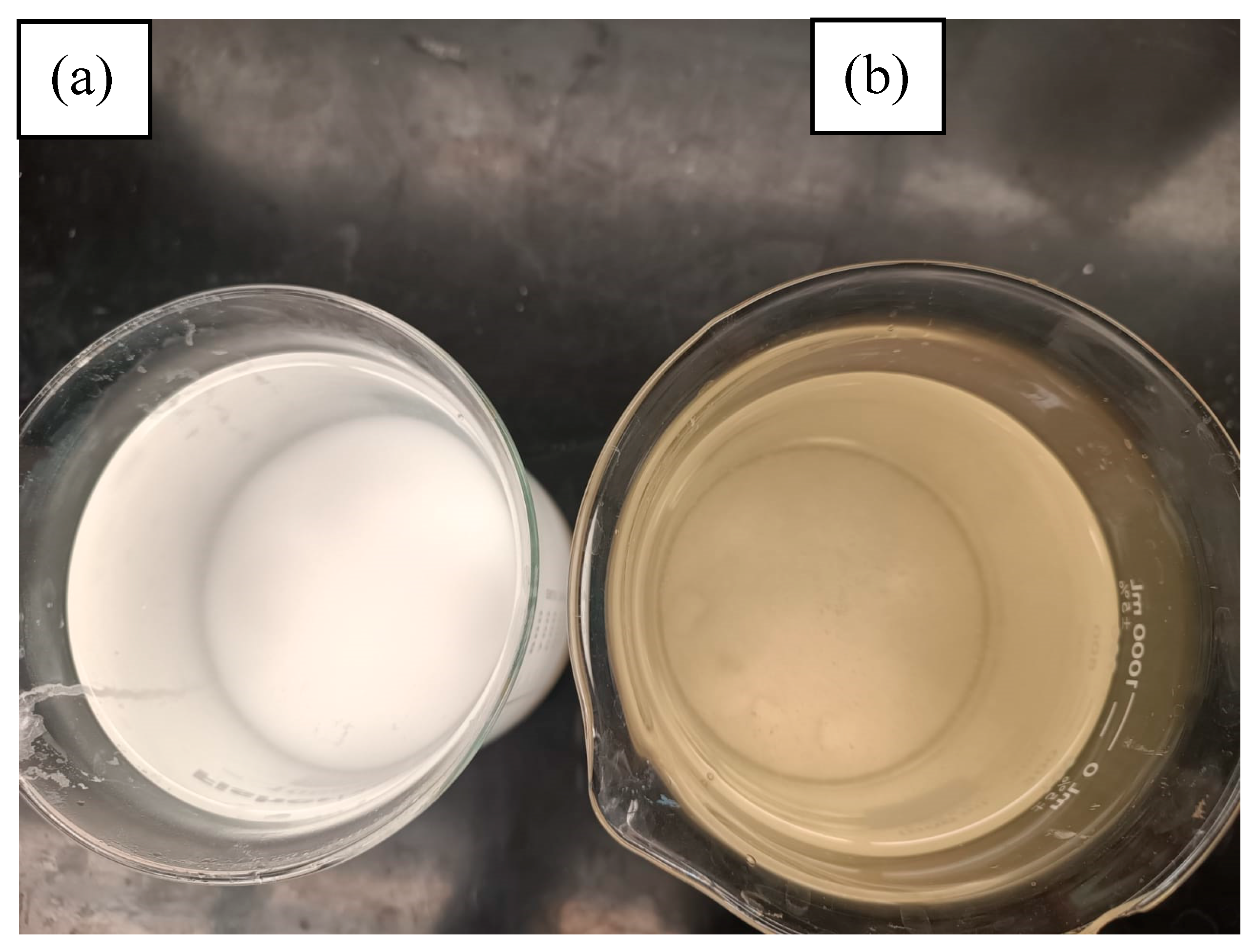 Preprints 100650 g004