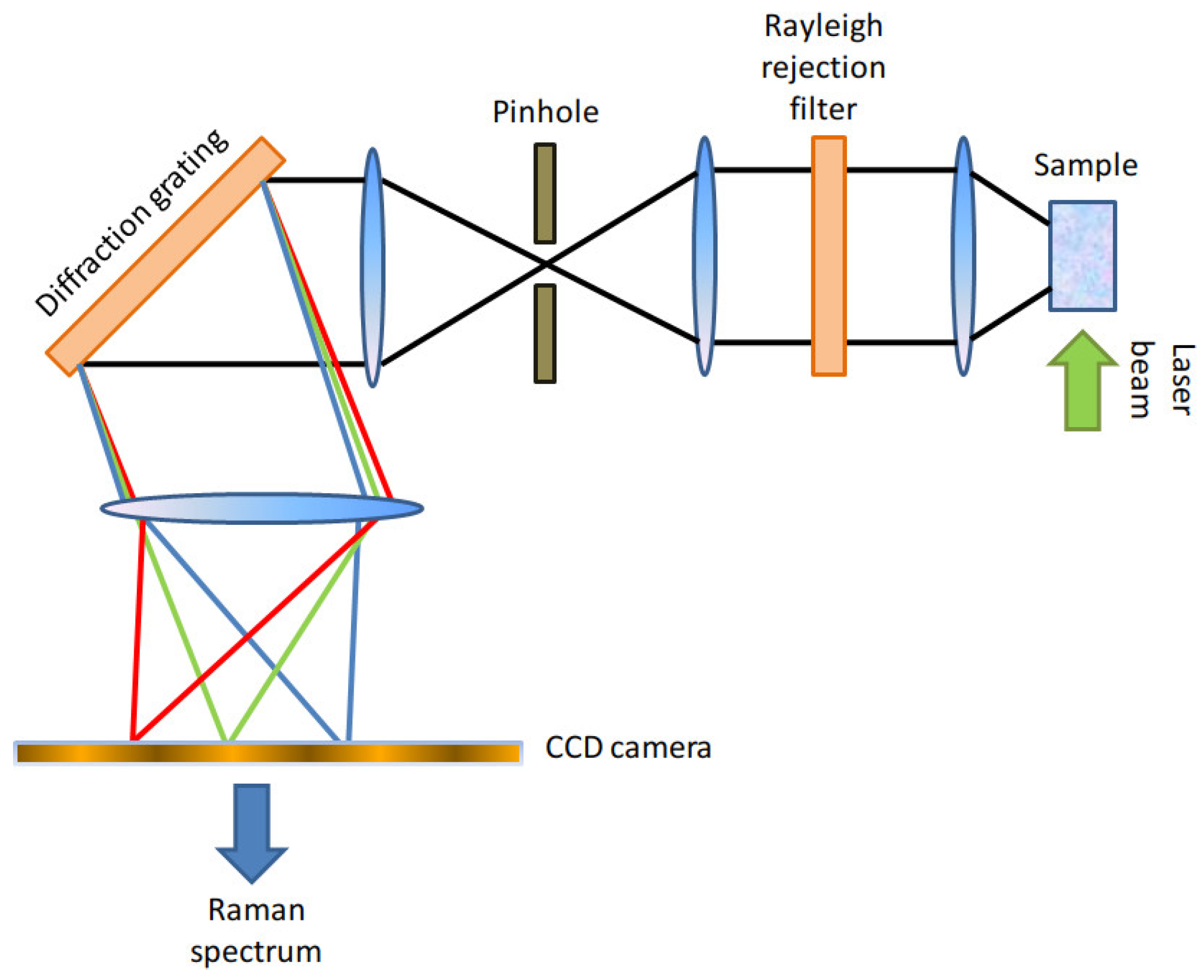 Preprints 114793 g001