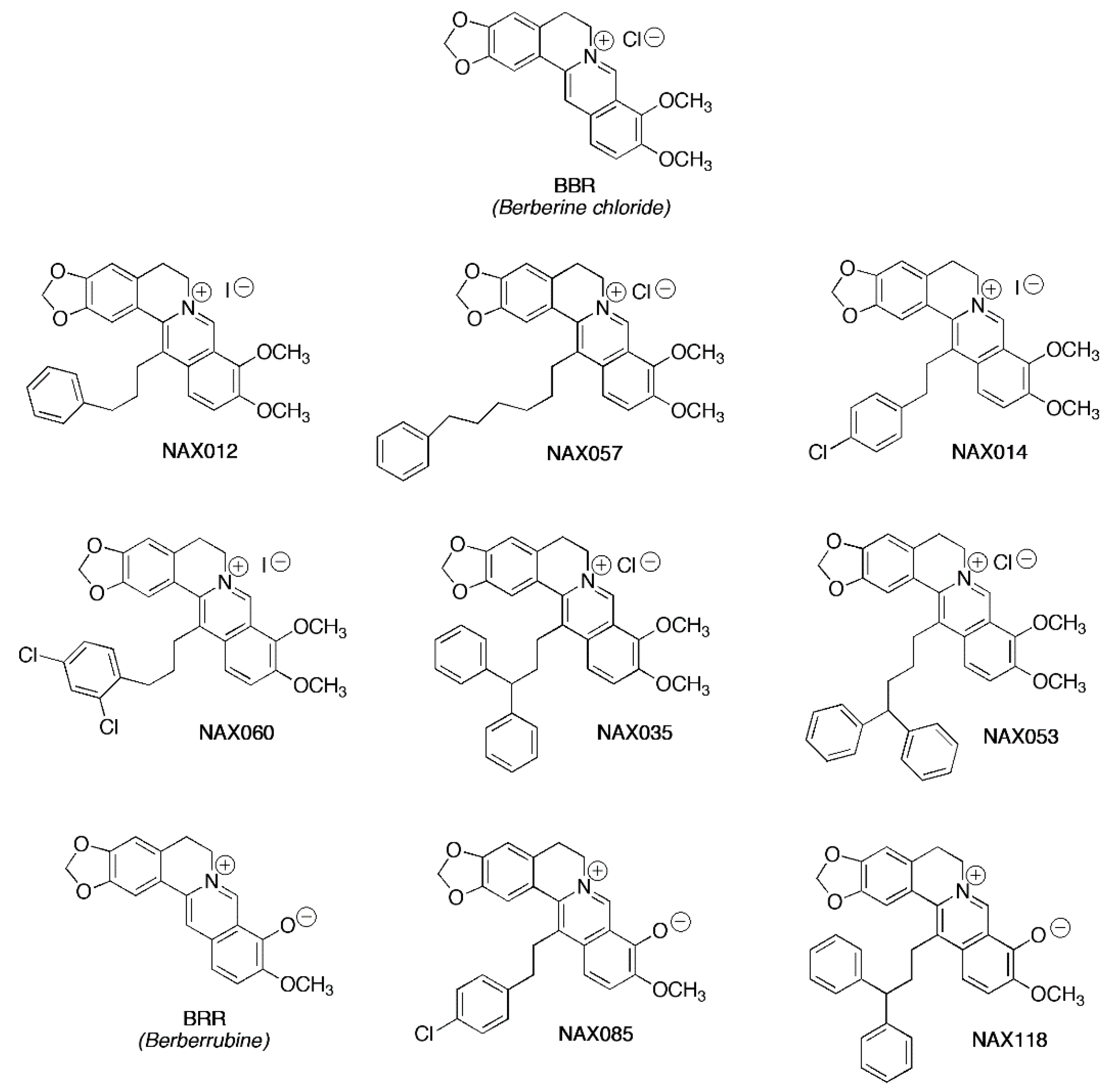 Preprints 91059 g001