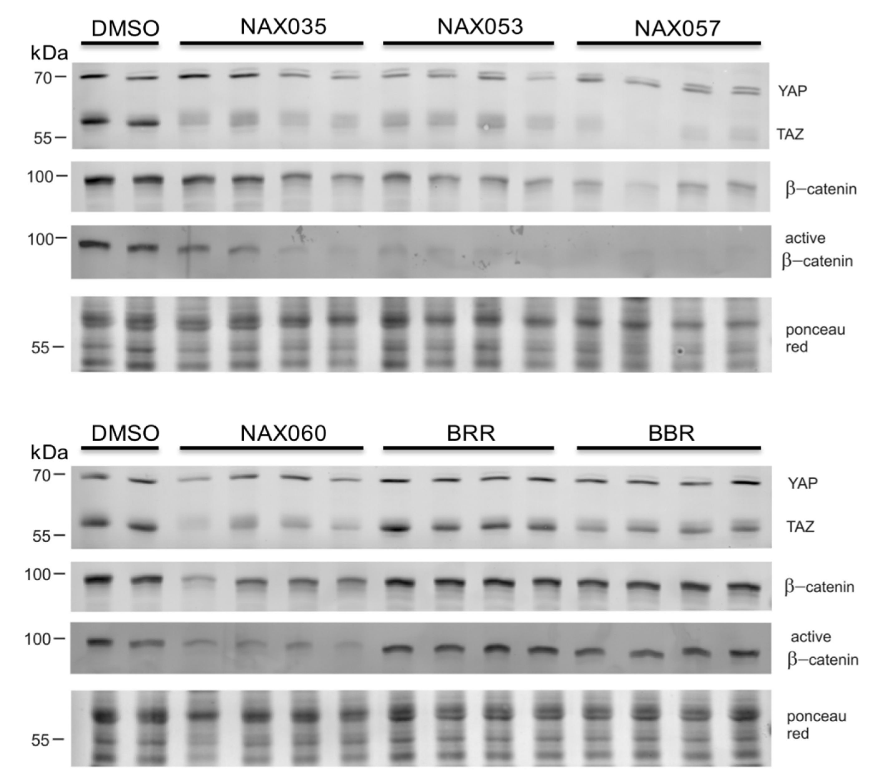 Preprints 91059 g004