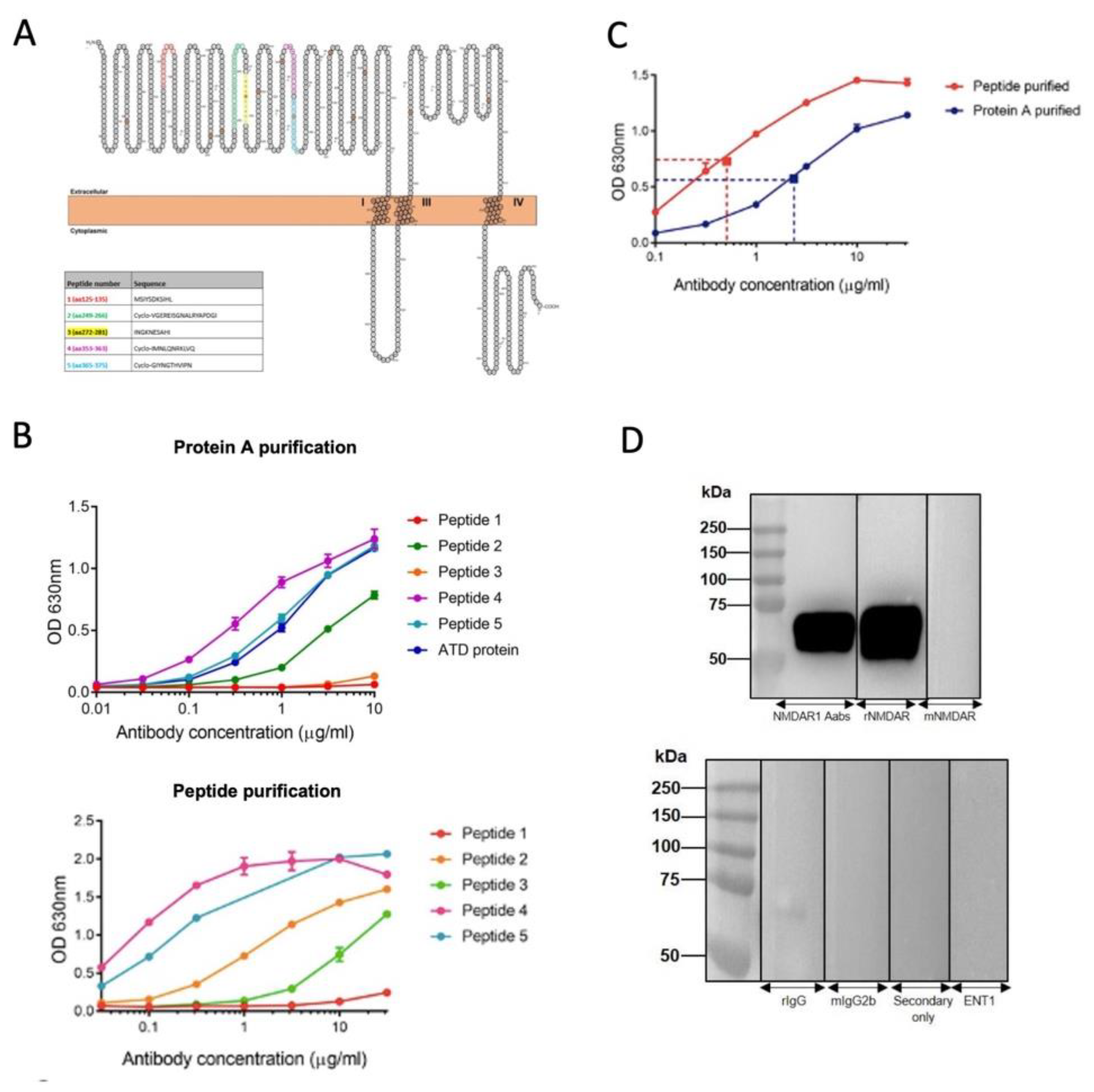 Preprints 104645 g001