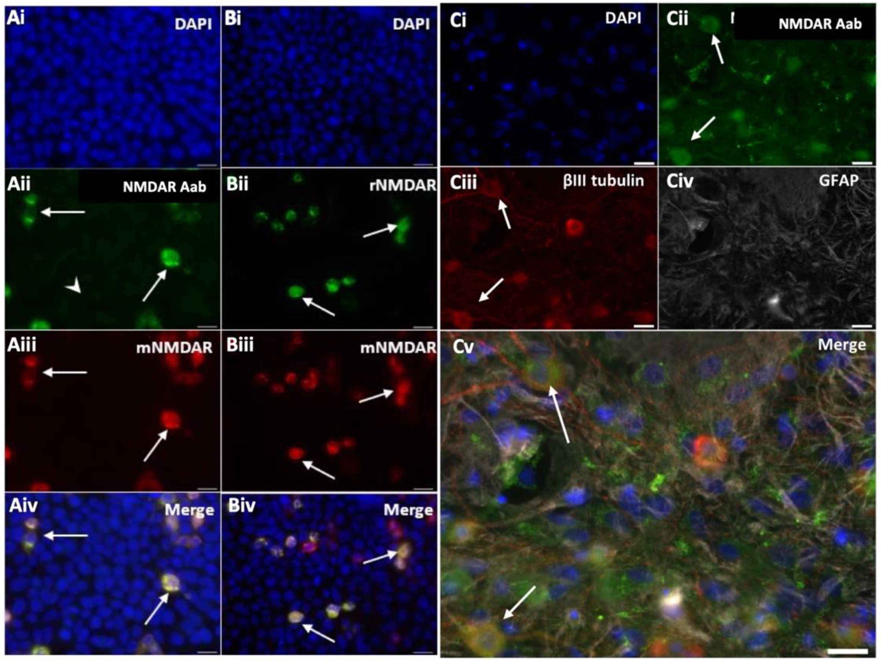 Preprints 104645 g002