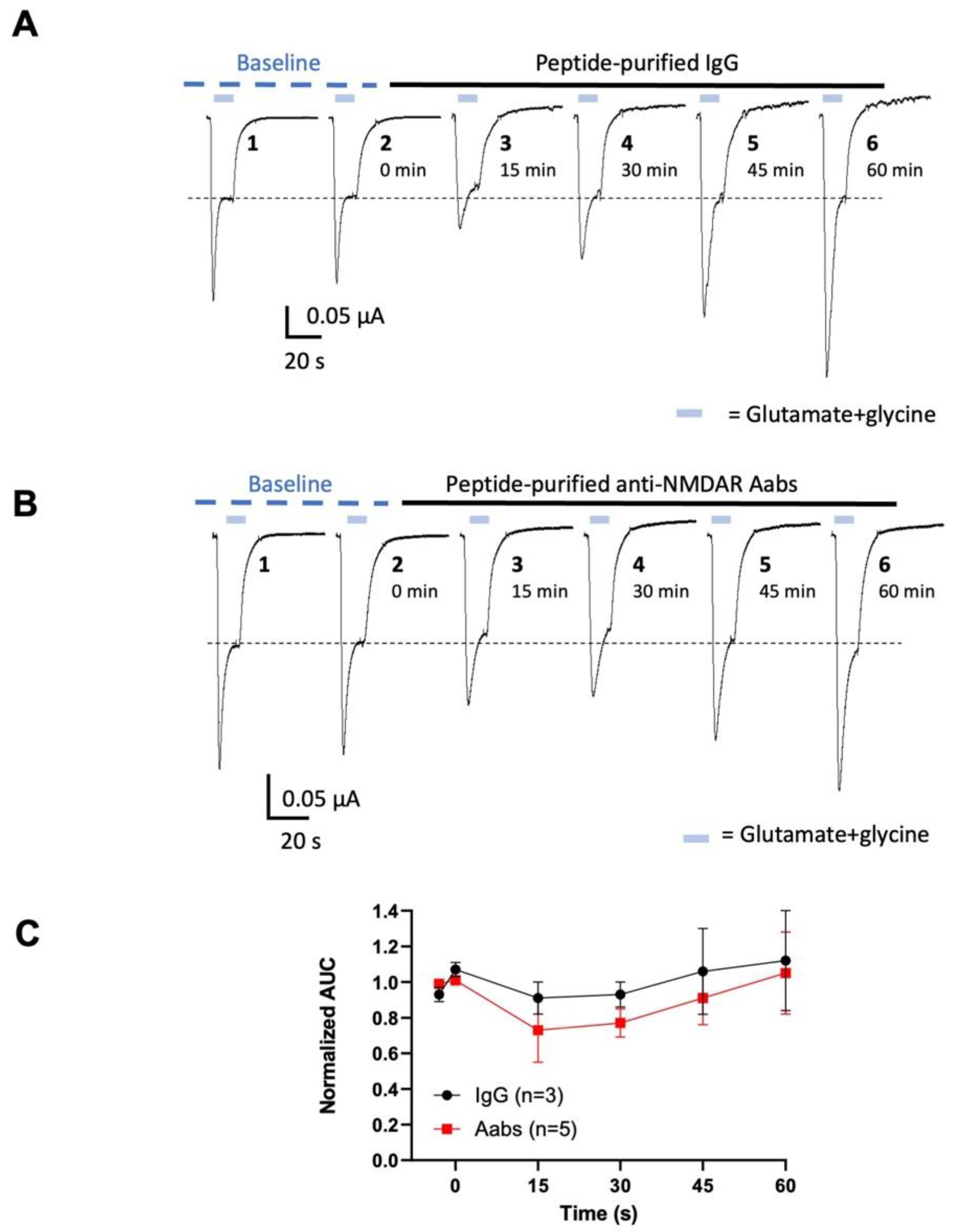 Preprints 104645 g004