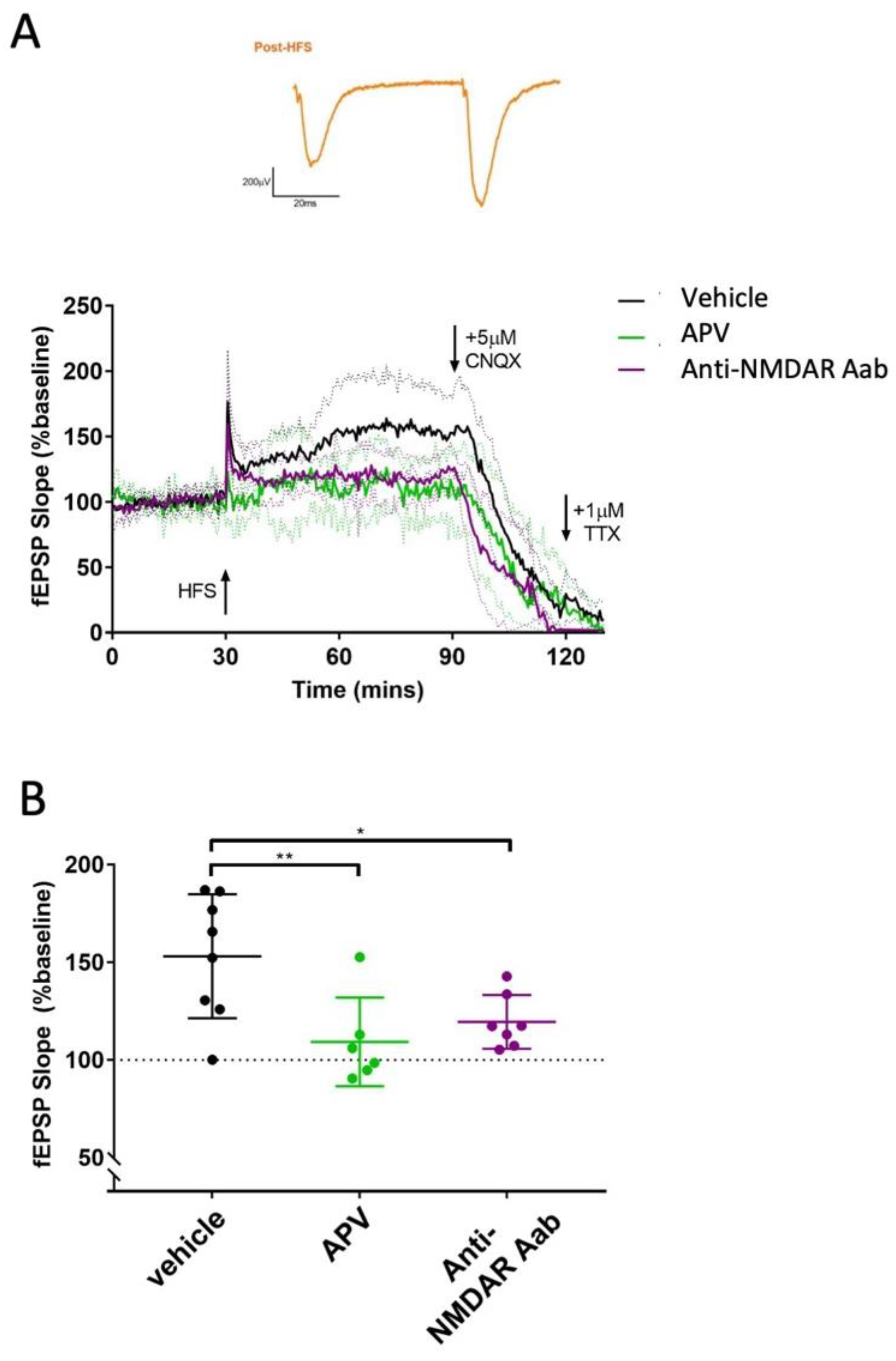 Preprints 104645 g005