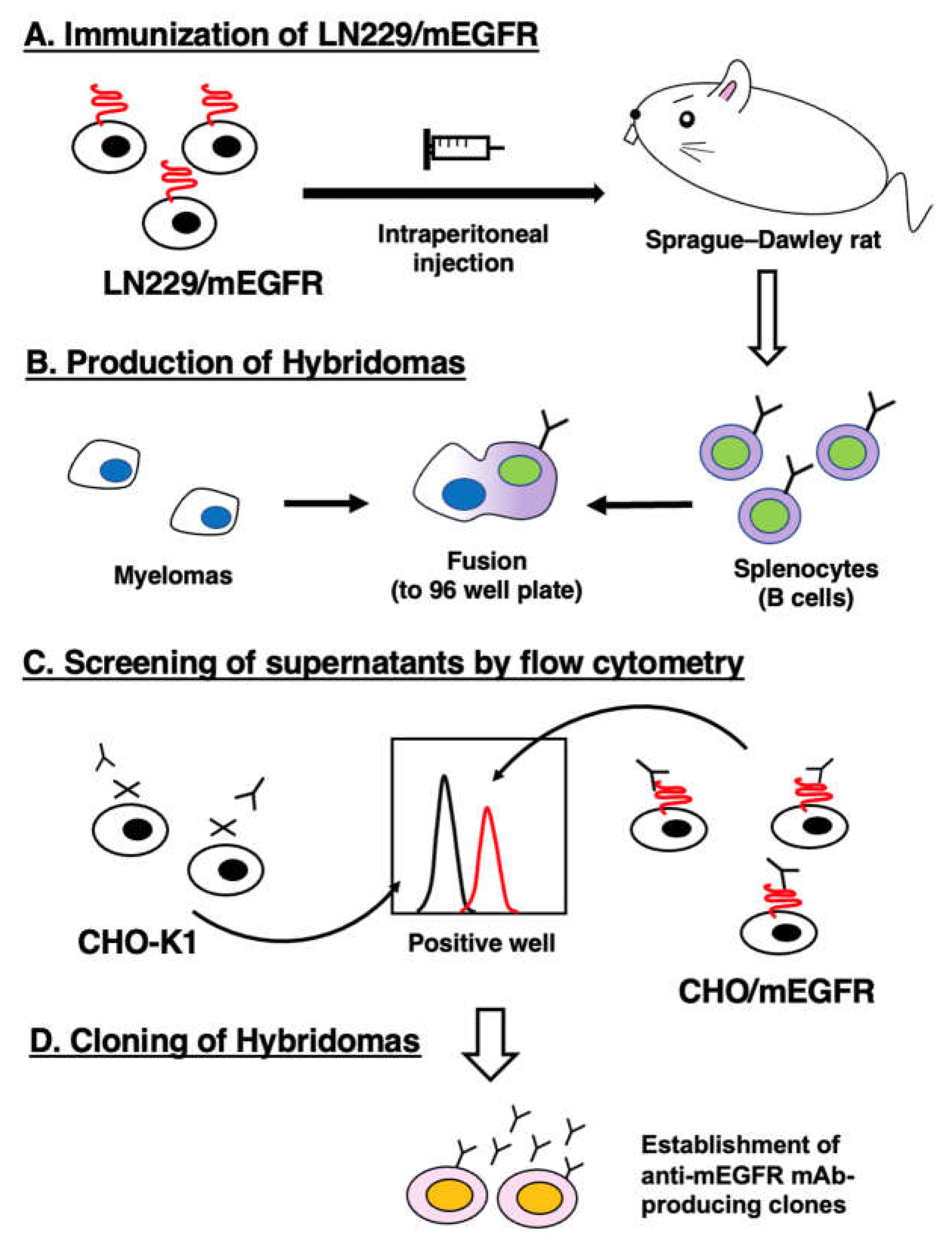 Preprints 72920 g001