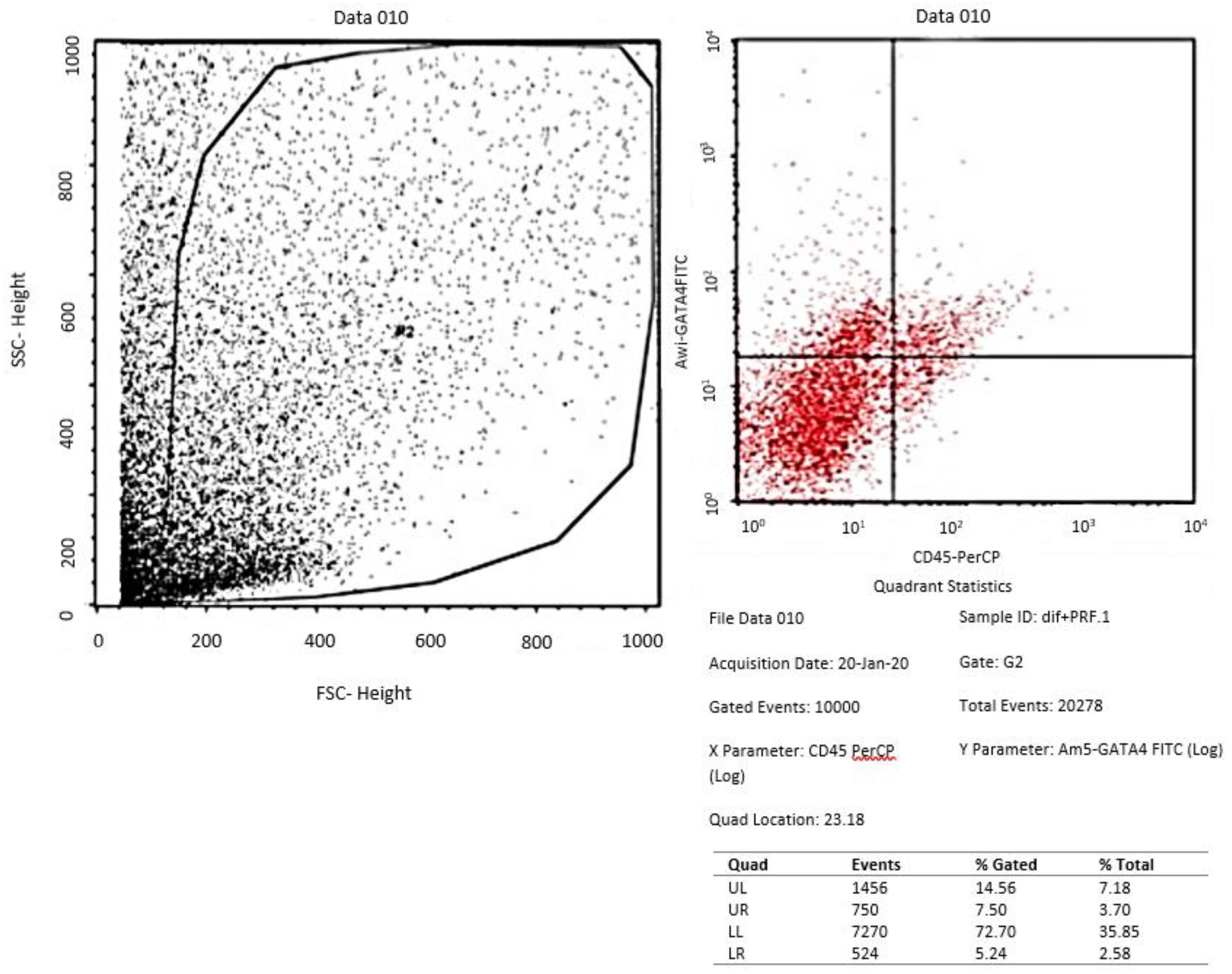 Preprints 82018 g001