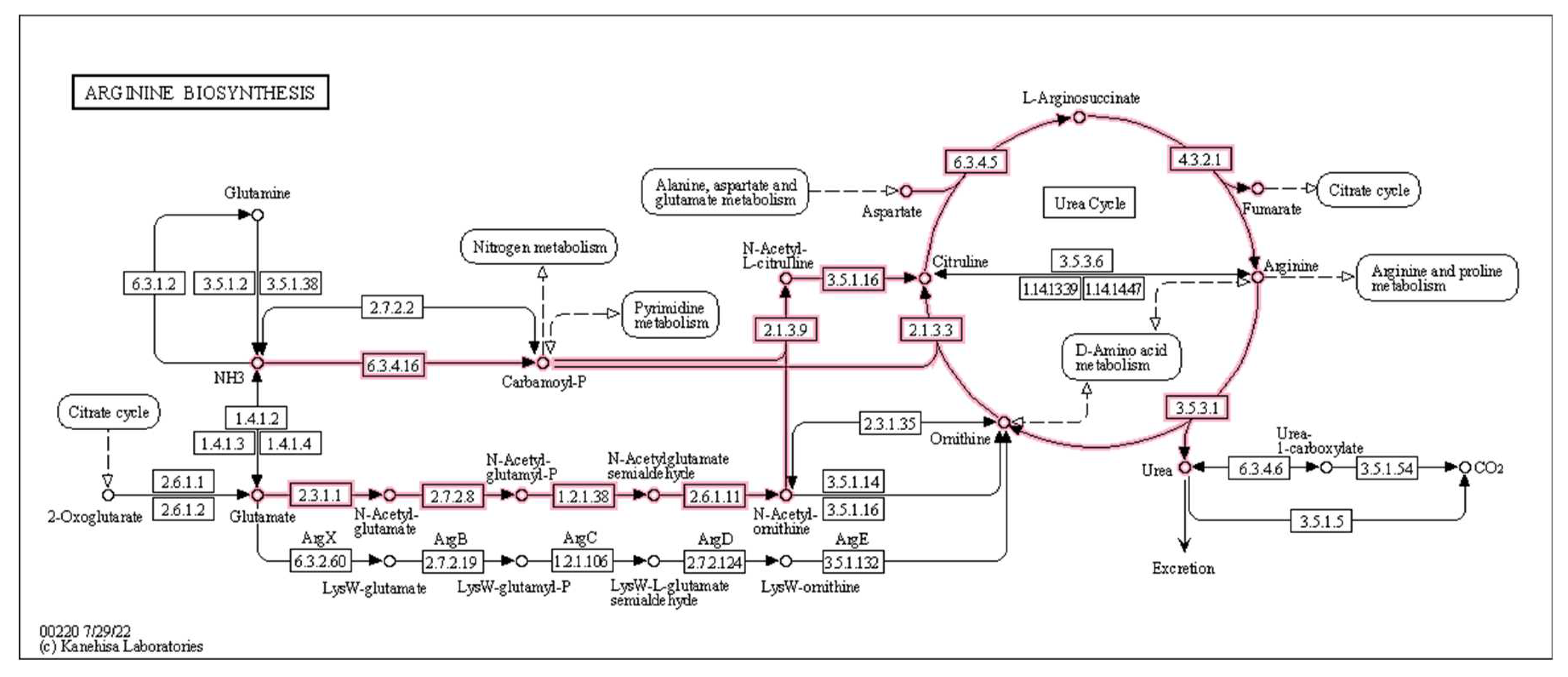 Preprints 72454 g008