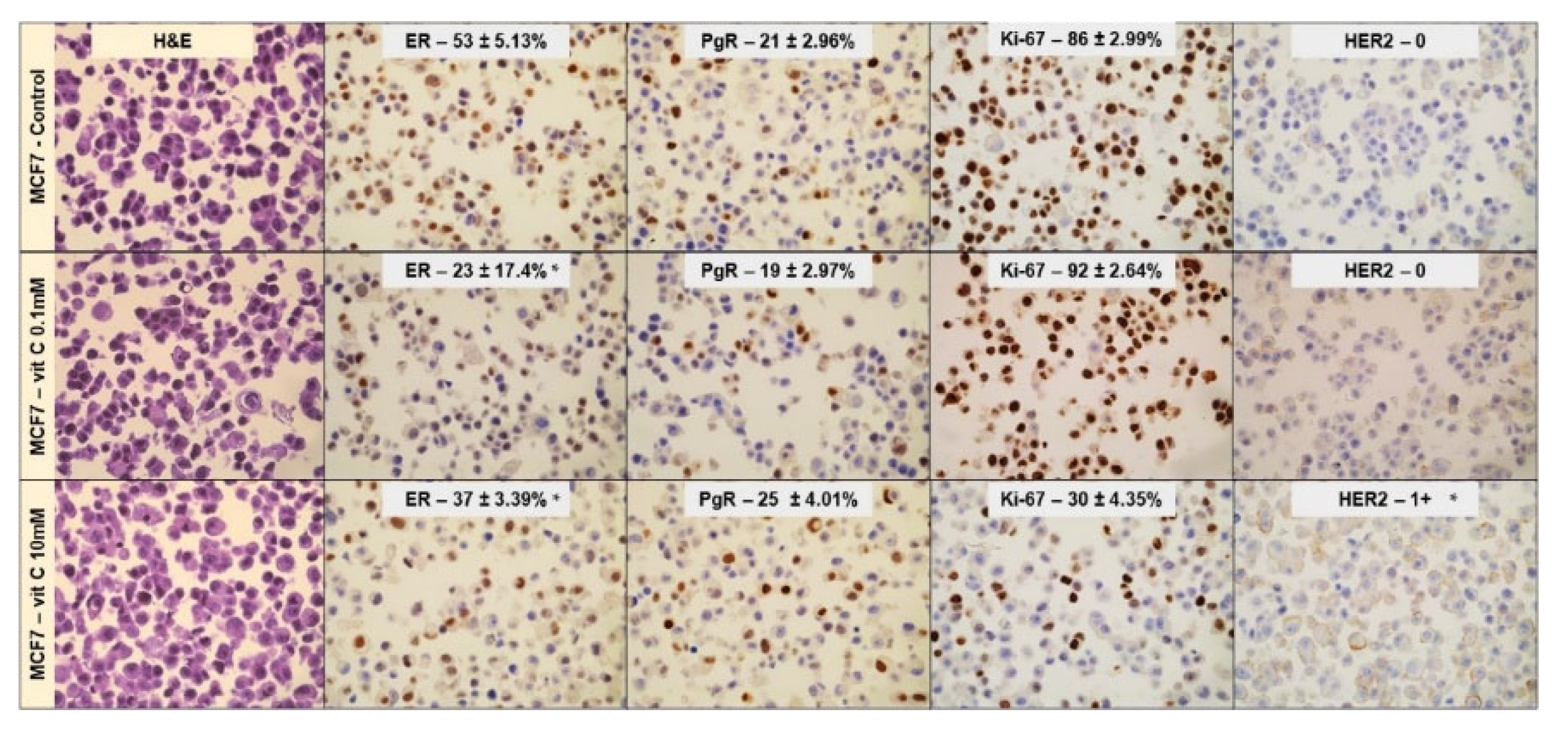 Preprints 76359 g003