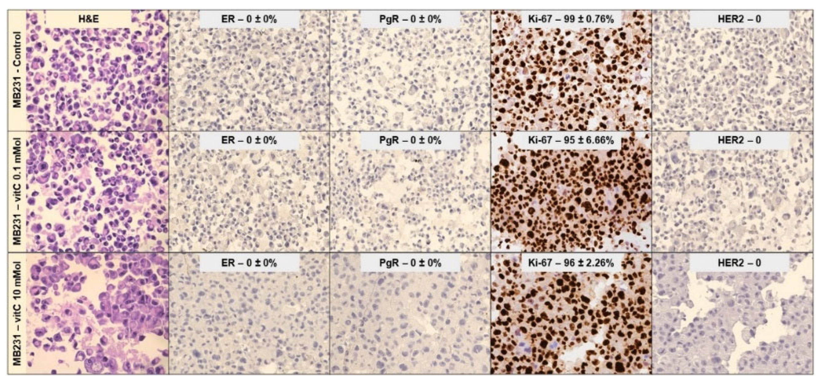 Preprints 76359 g004