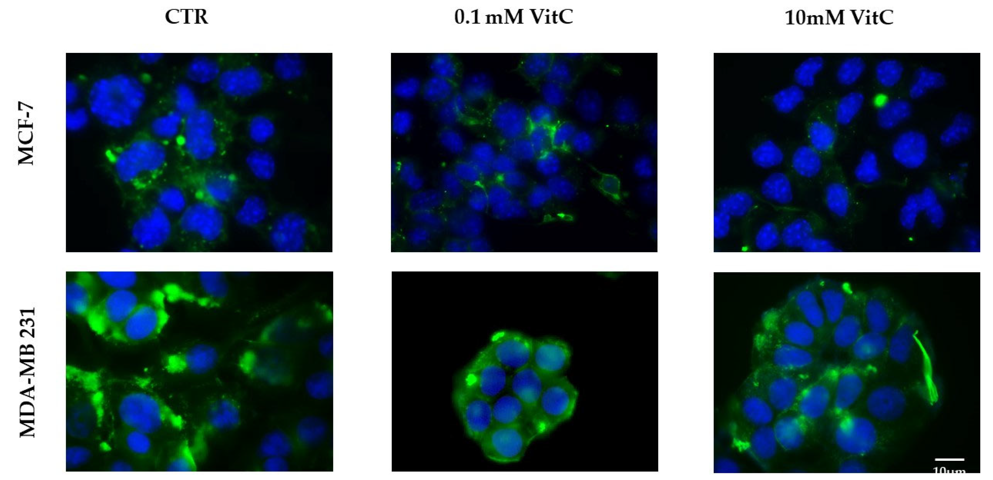 Preprints 76359 g007