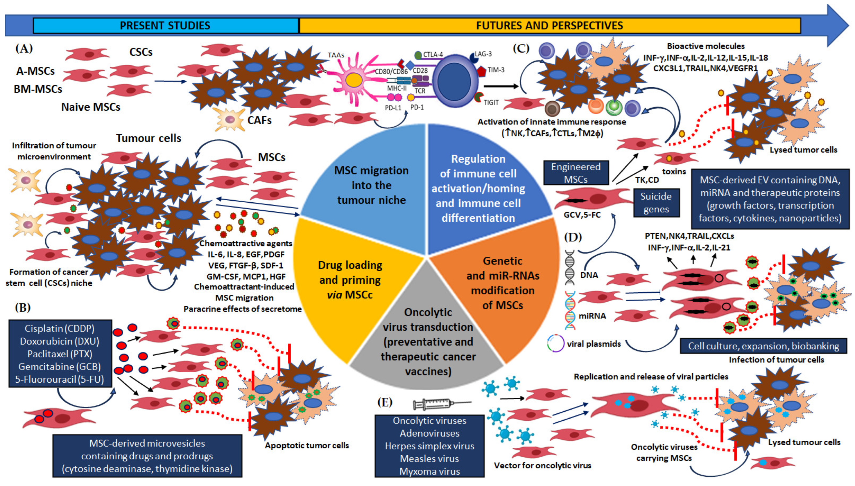 Preprints 108963 g002