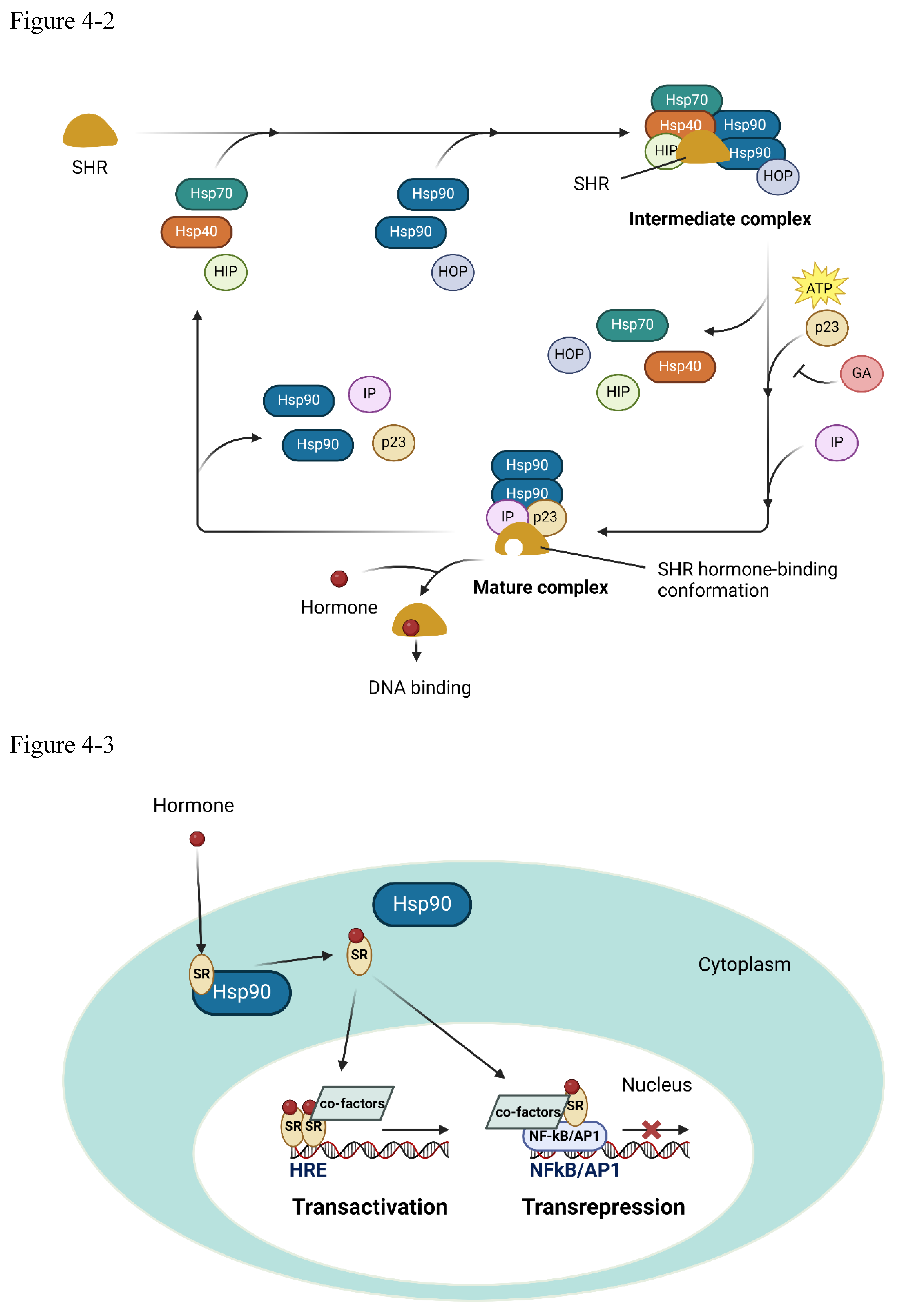 Preprints 102687 g004b