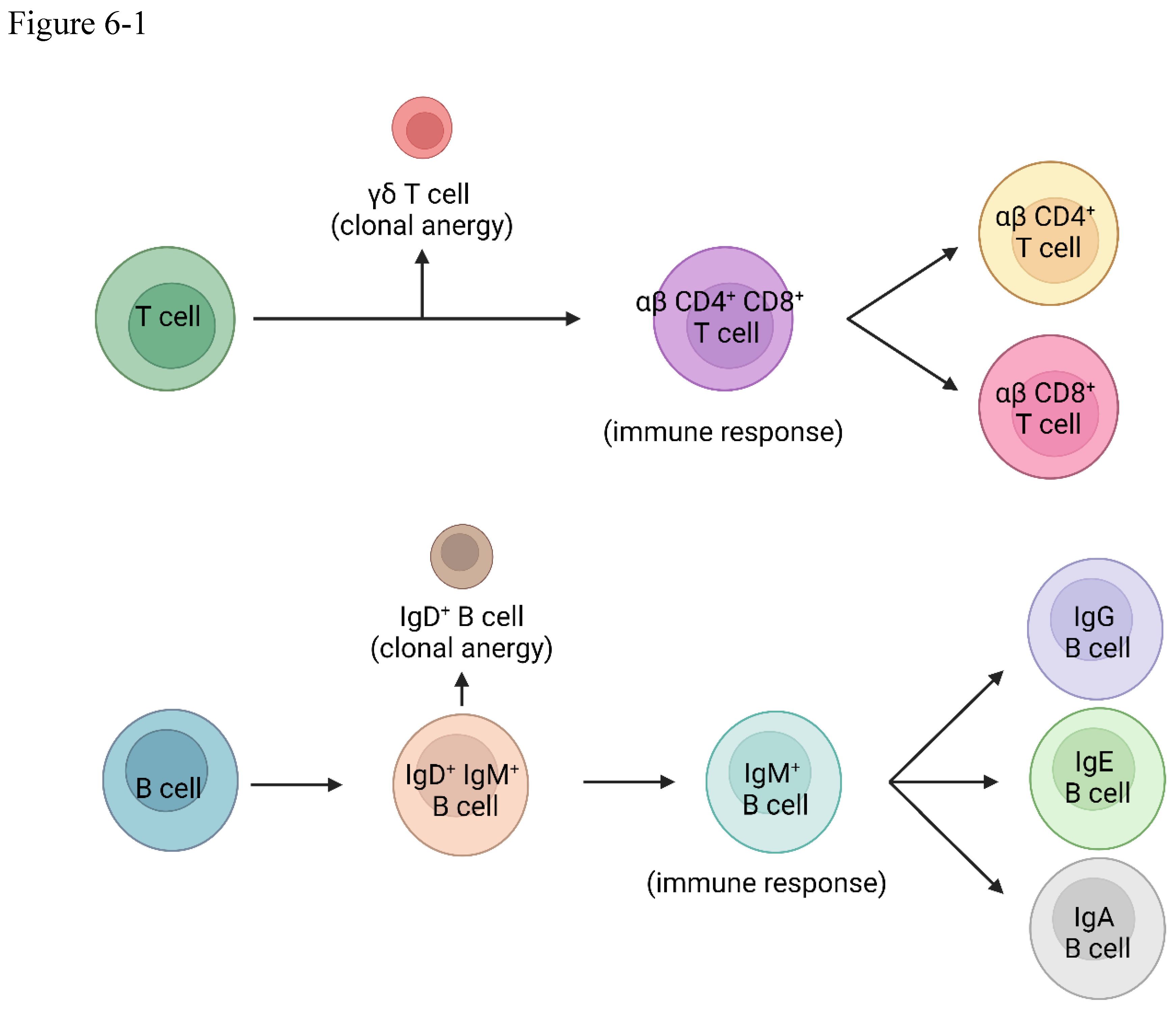 Preprints 102687 g006a